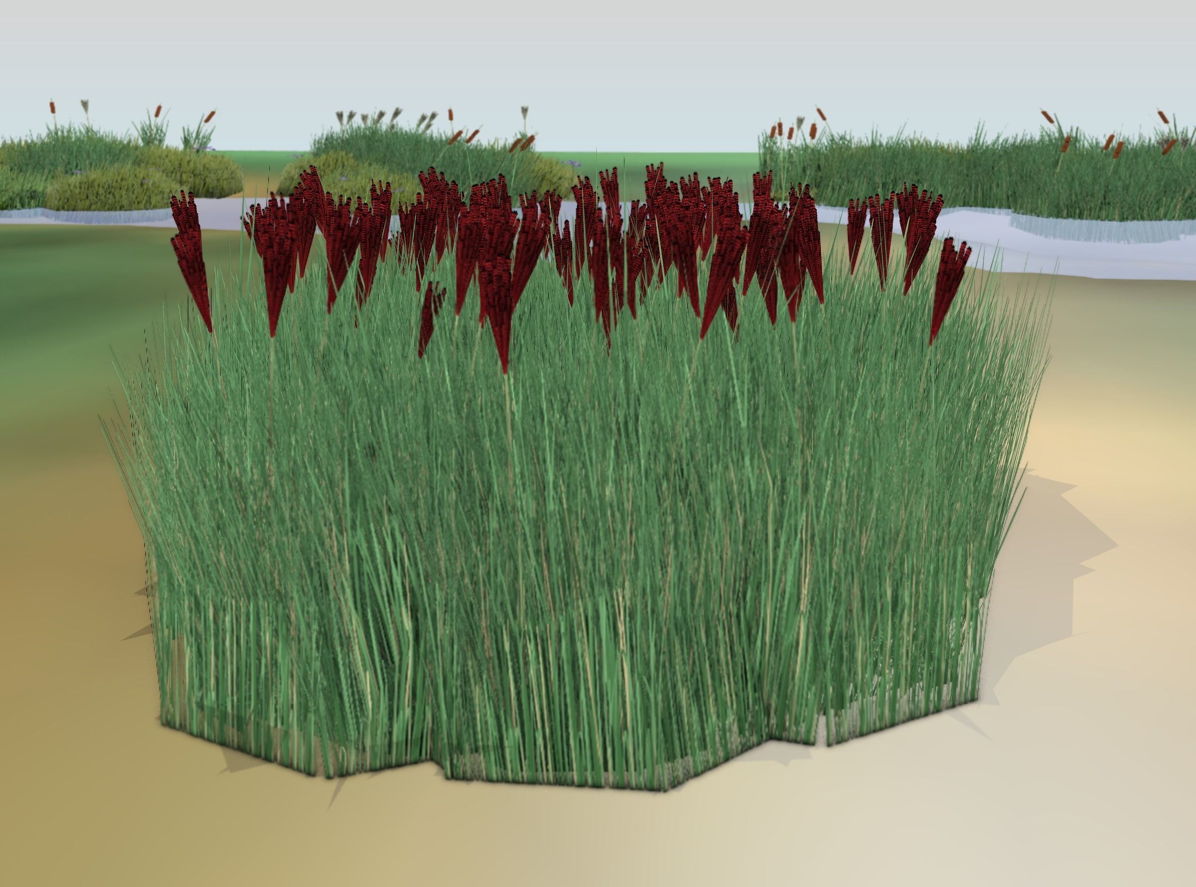 Reeds - Object 58 Low-poly 3D model_18