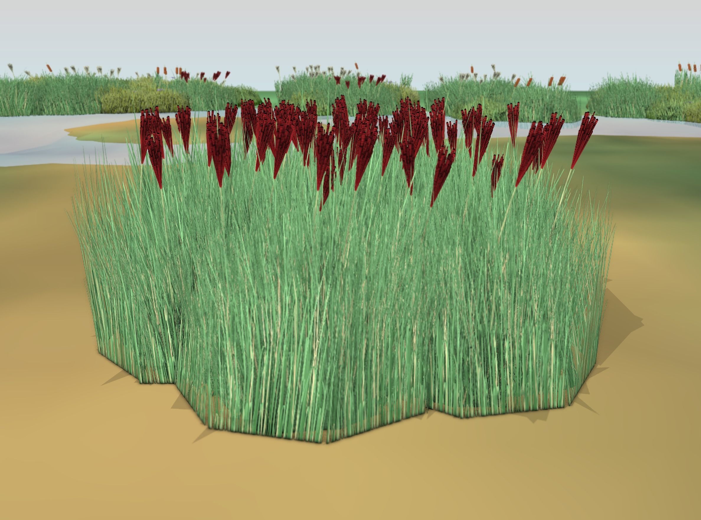 Reeds - Object 58 Low-poly 3D model_41