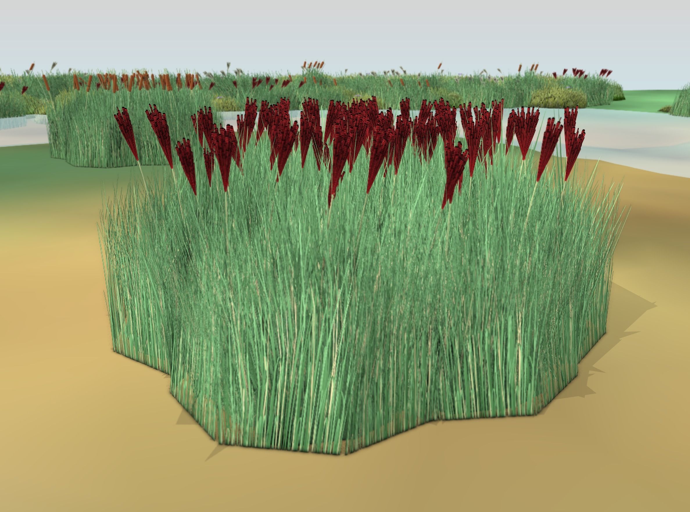 Reeds - Object 58 Low-poly 3D model_50