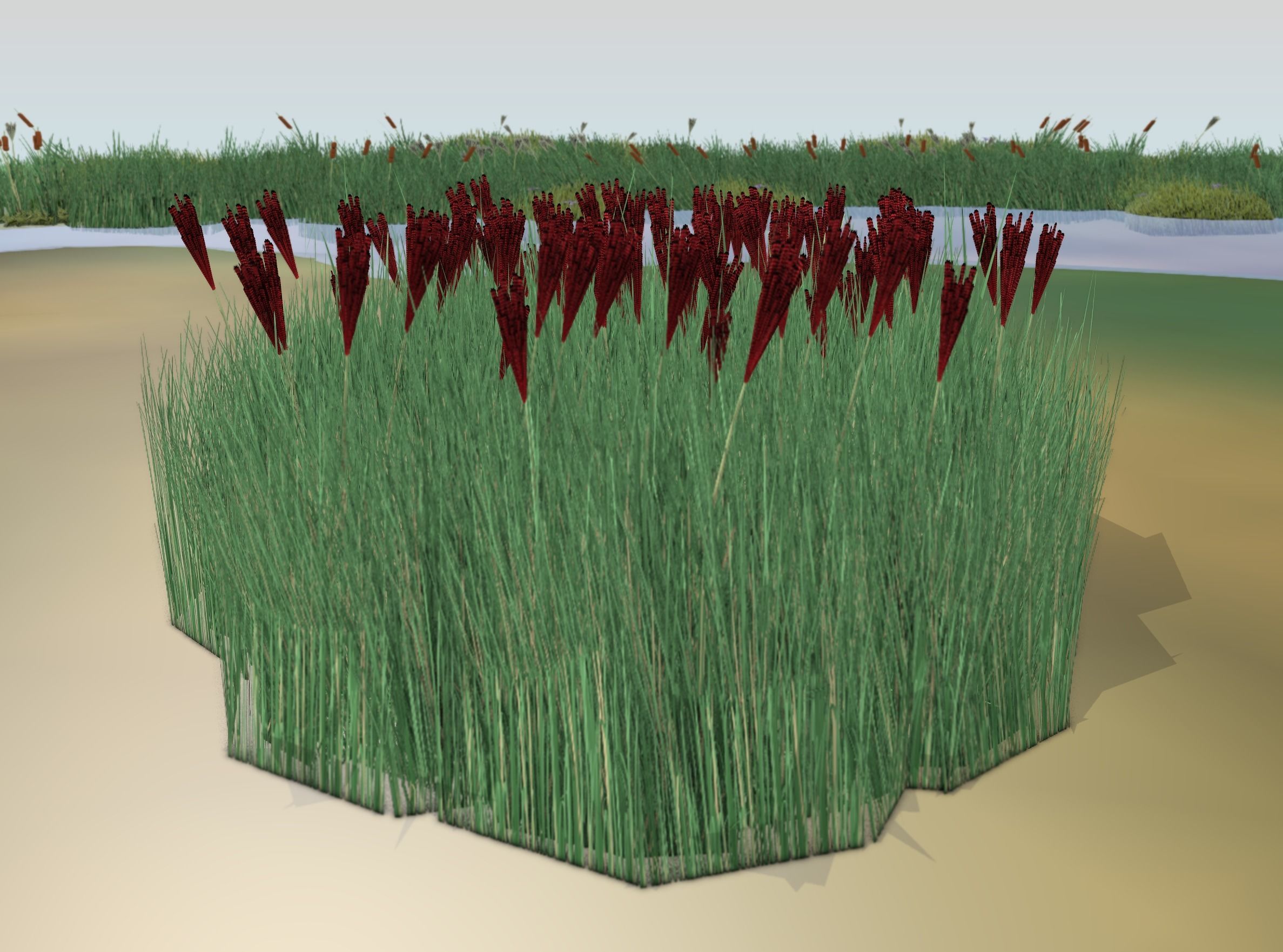 Reeds - Object 58 Low-poly 3D model_12