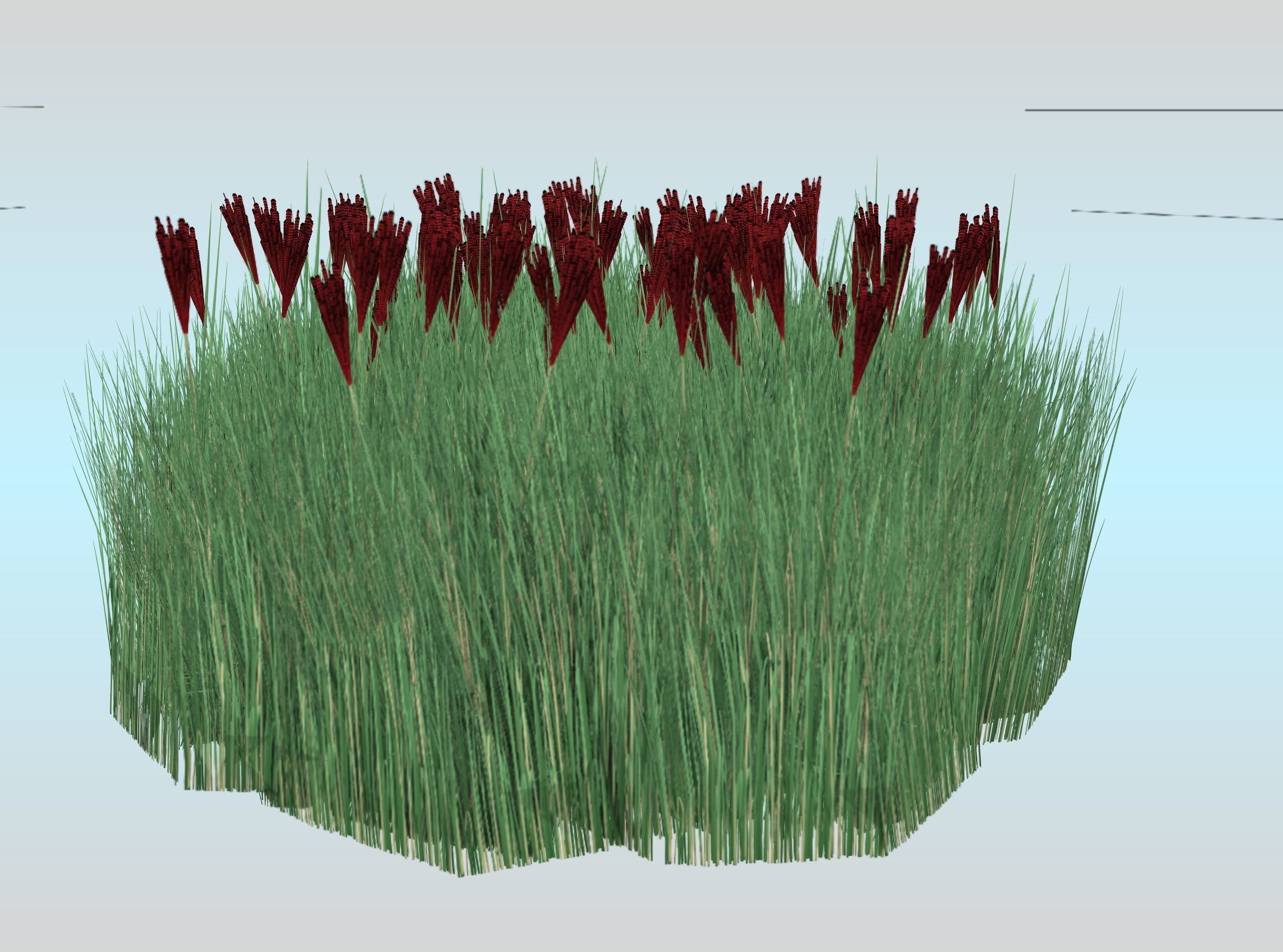 Reeds - Object 58 Low-poly 3D model_21