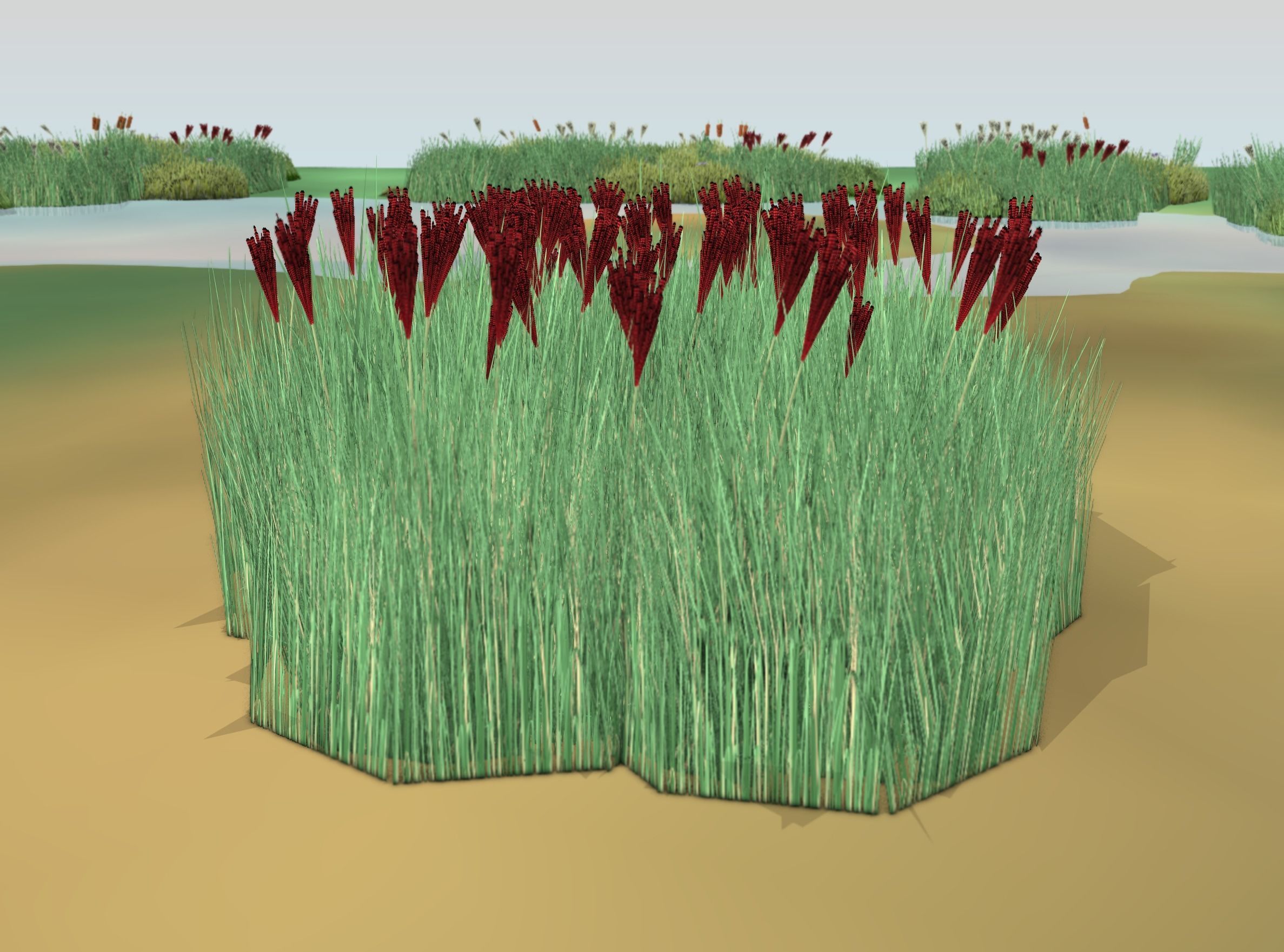 Reeds - Object 58 Low-poly 3D model_44