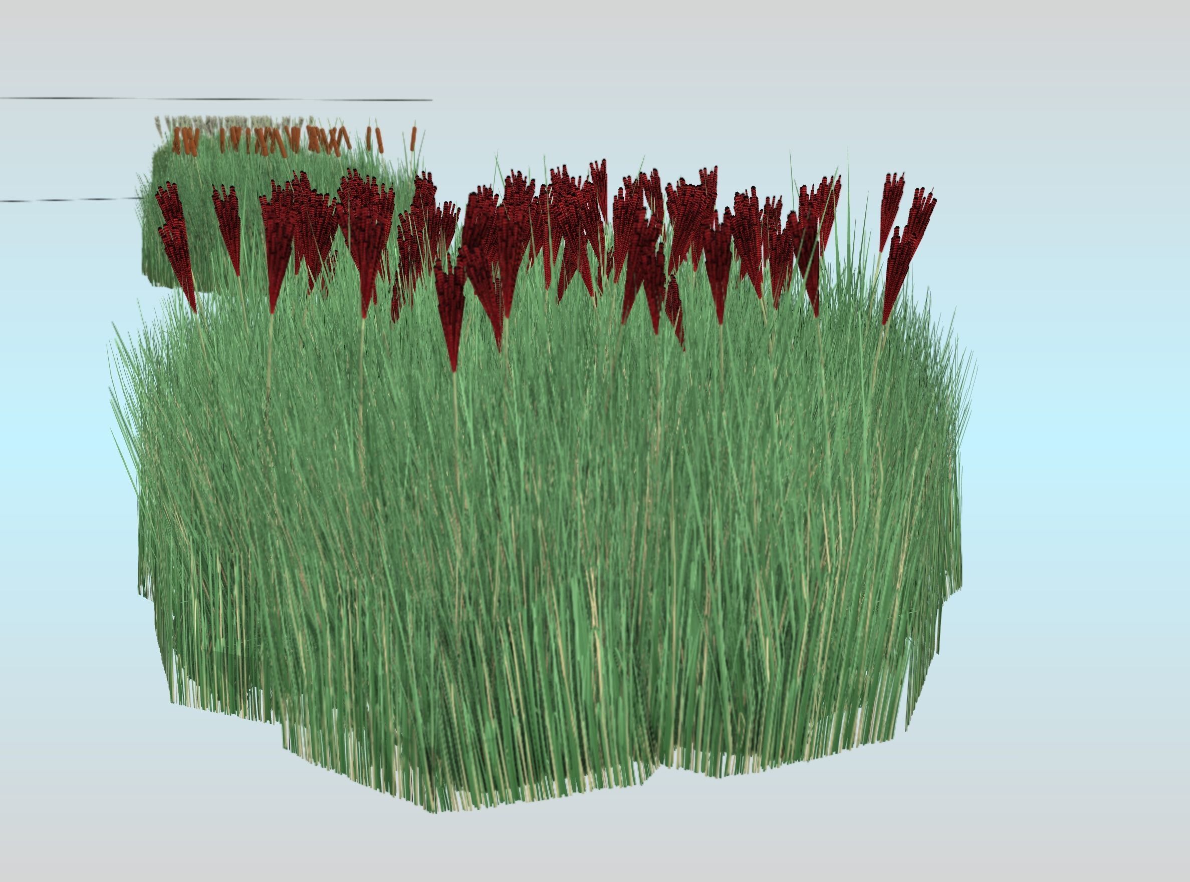 Reeds - Object 58 Low-poly 3D model_26