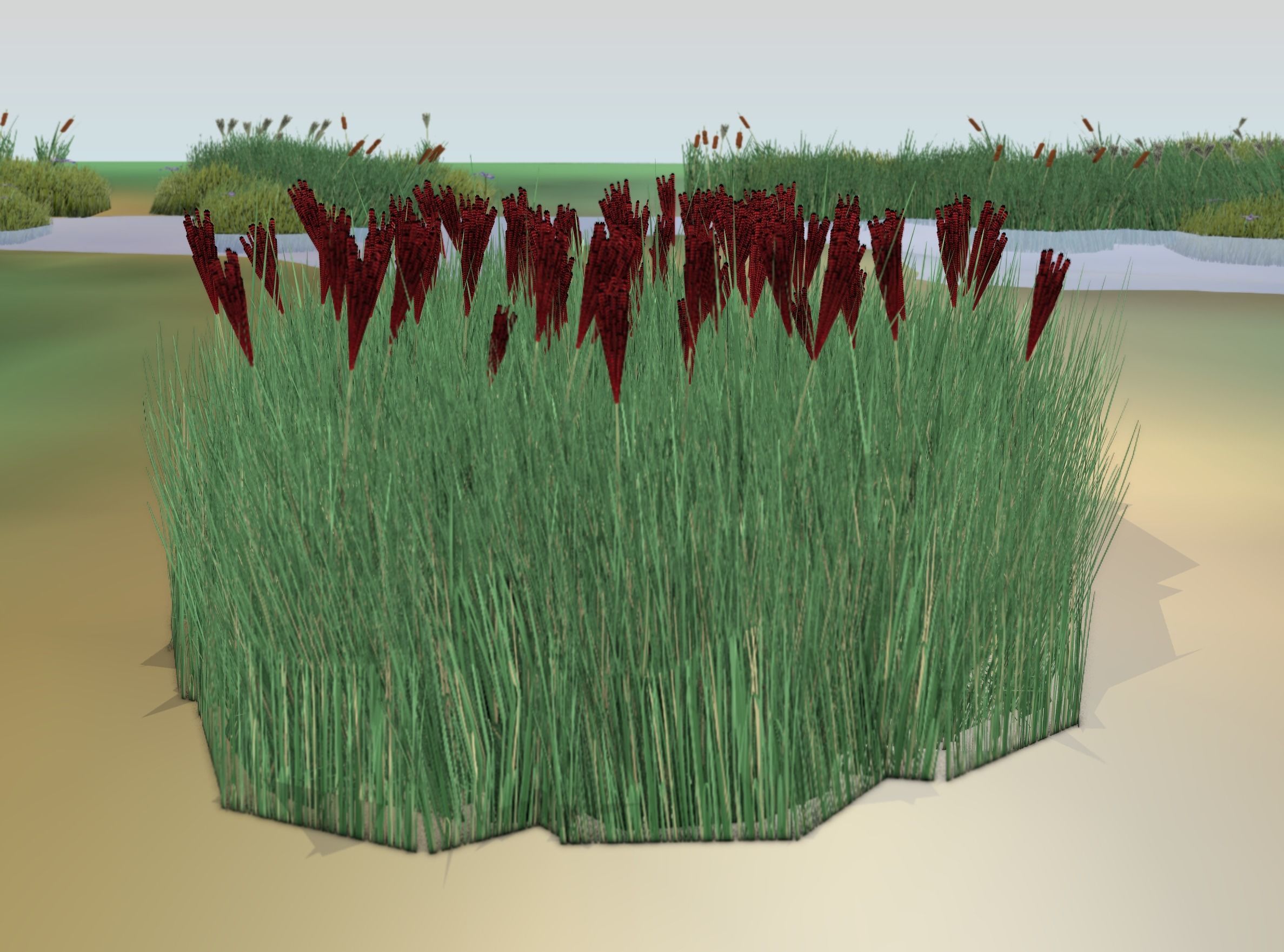 Reeds - Object 58 Low-poly 3D model_17
