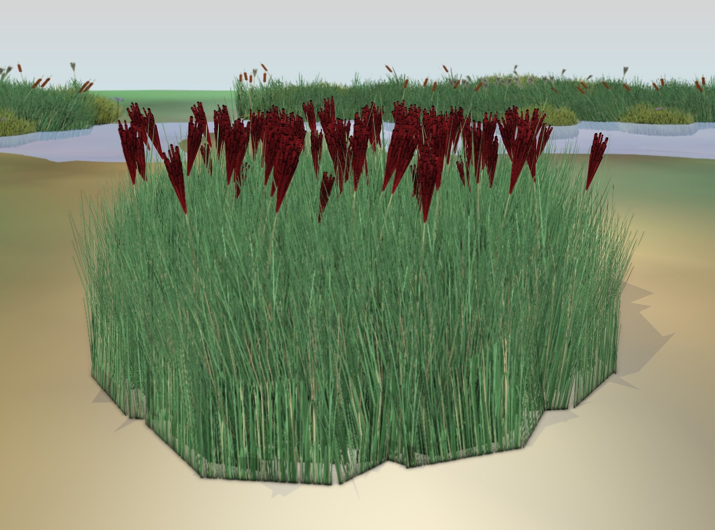 Reeds - Object 58 Low-poly 3D model_15