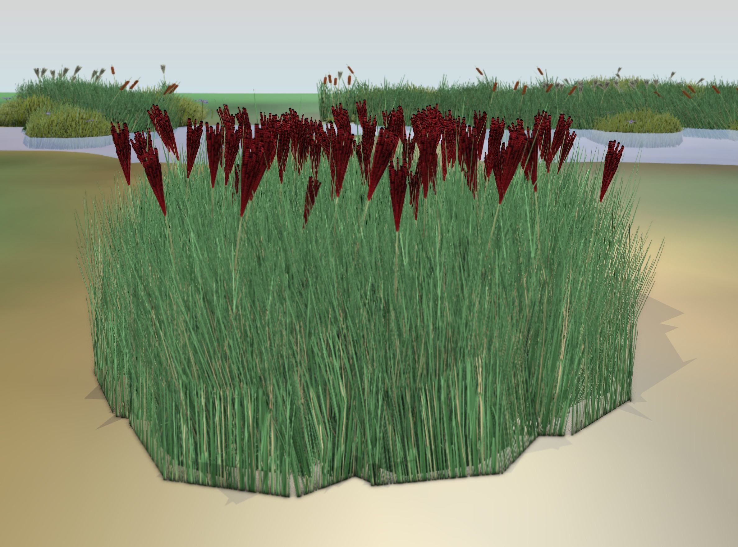 Reeds - Object 58 Low-poly 3D model_16