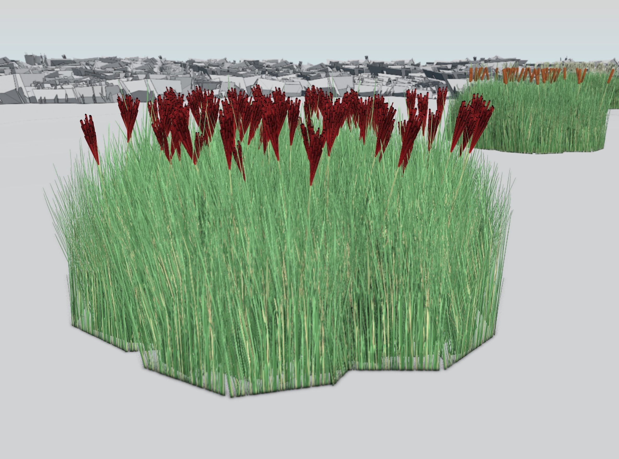 Reeds - Object 58 Low-poly 3D model_33