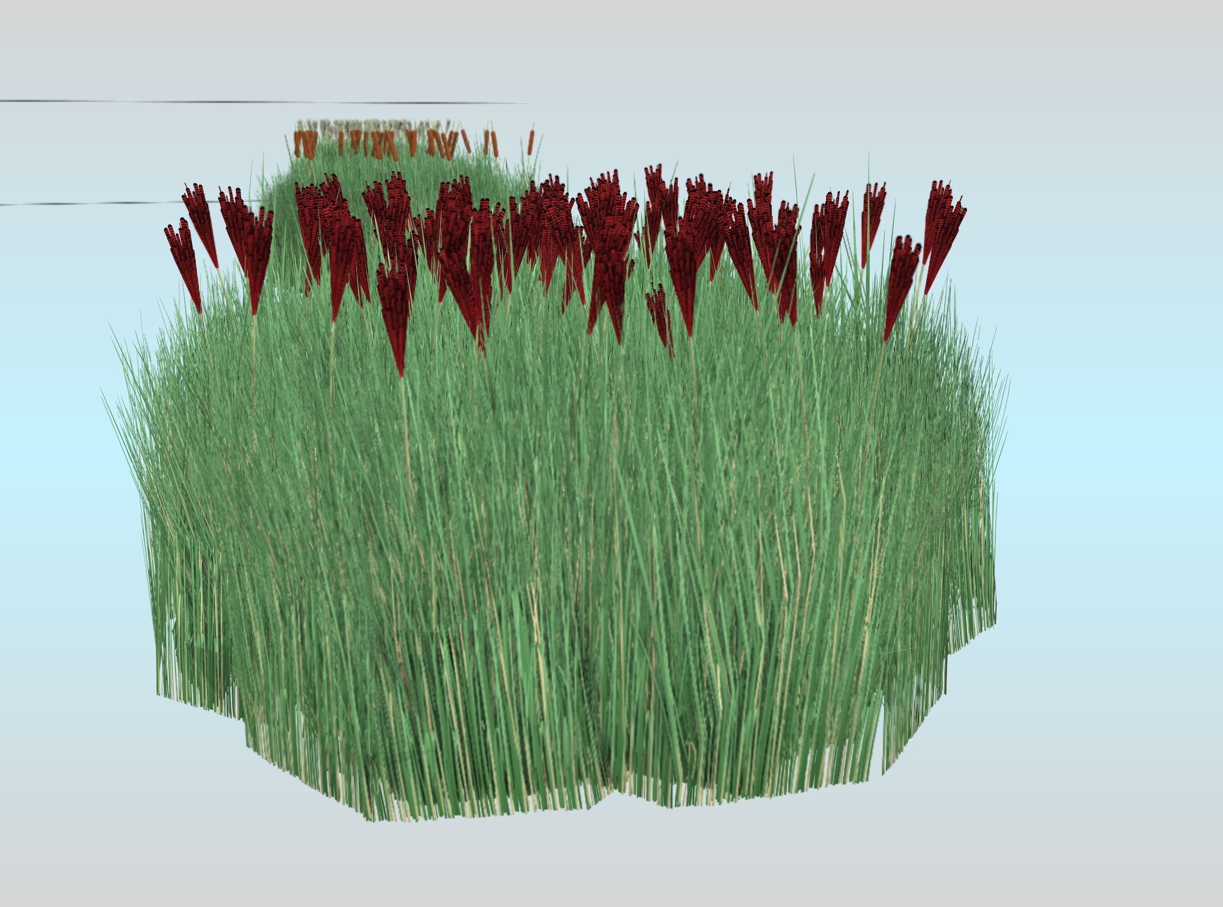 Reeds - Object 58 Low-poly 3D model_27