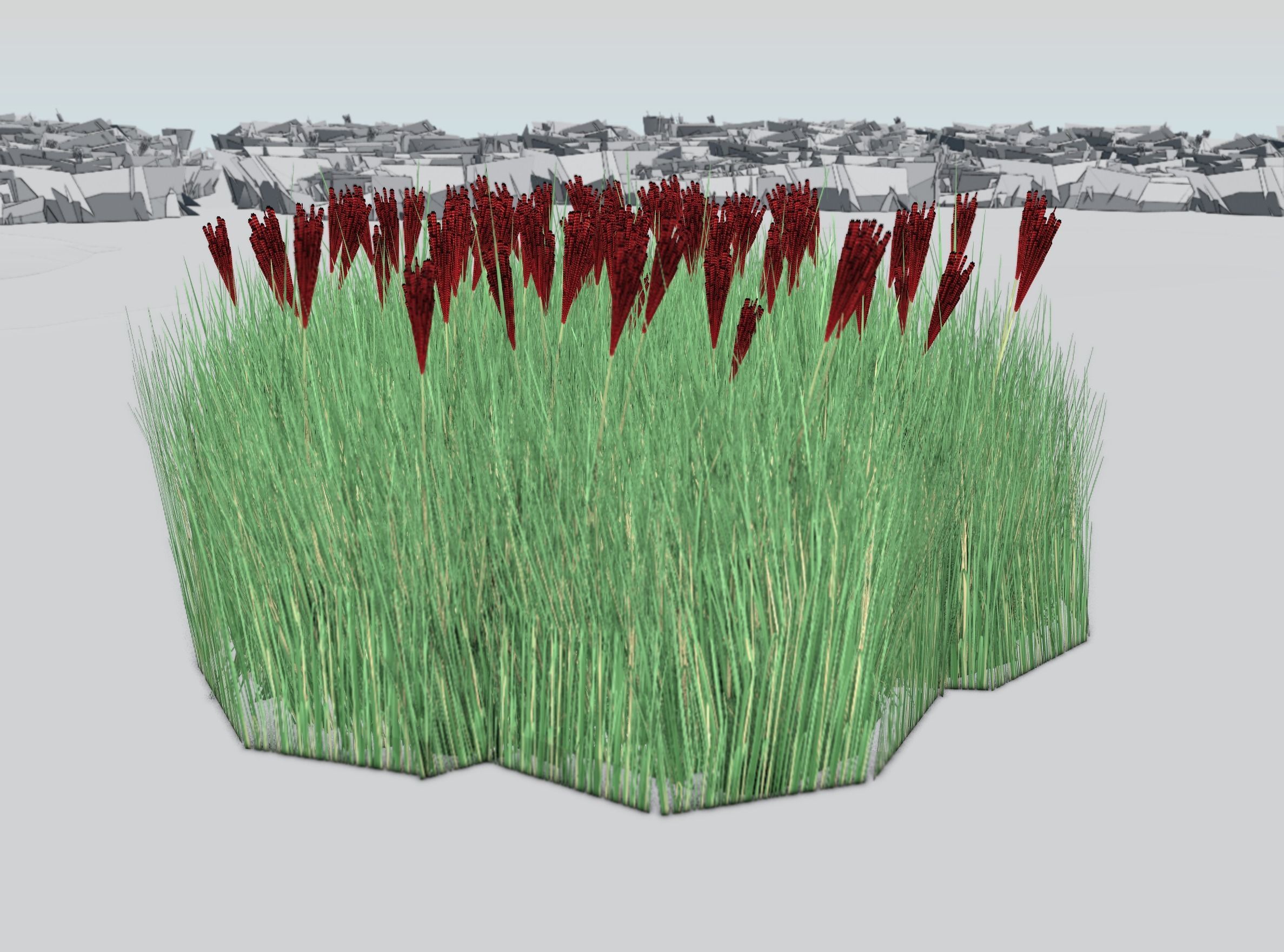 Reeds - Object 58 Low-poly 3D model_37