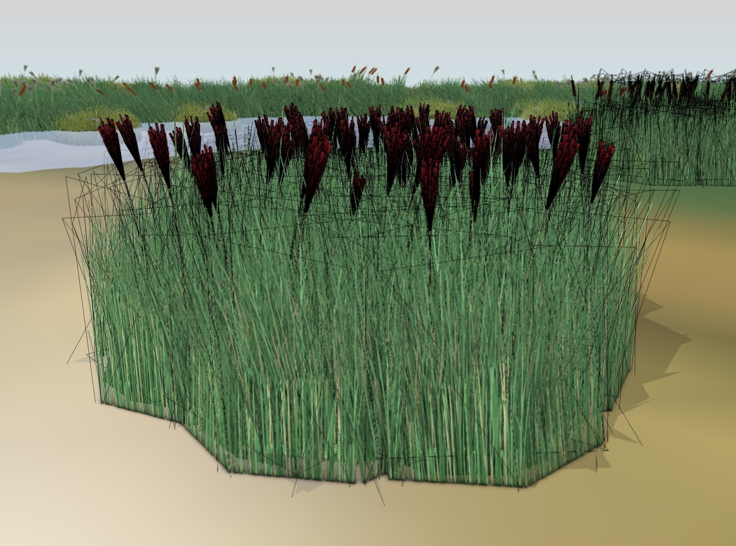 Reeds - Object 58 Low-poly 3D model_9