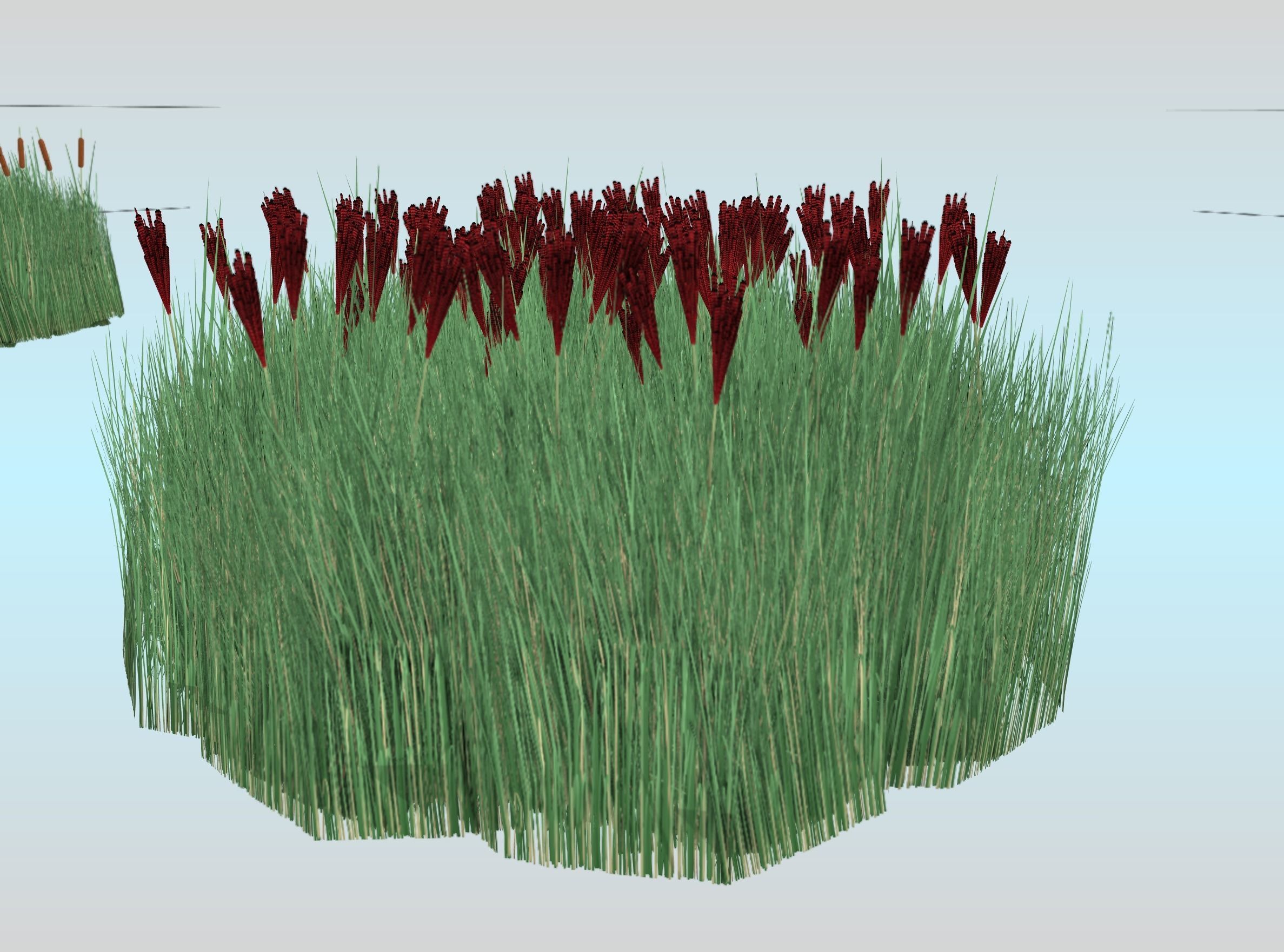 Reeds - Object 58 Low-poly 3D model_23