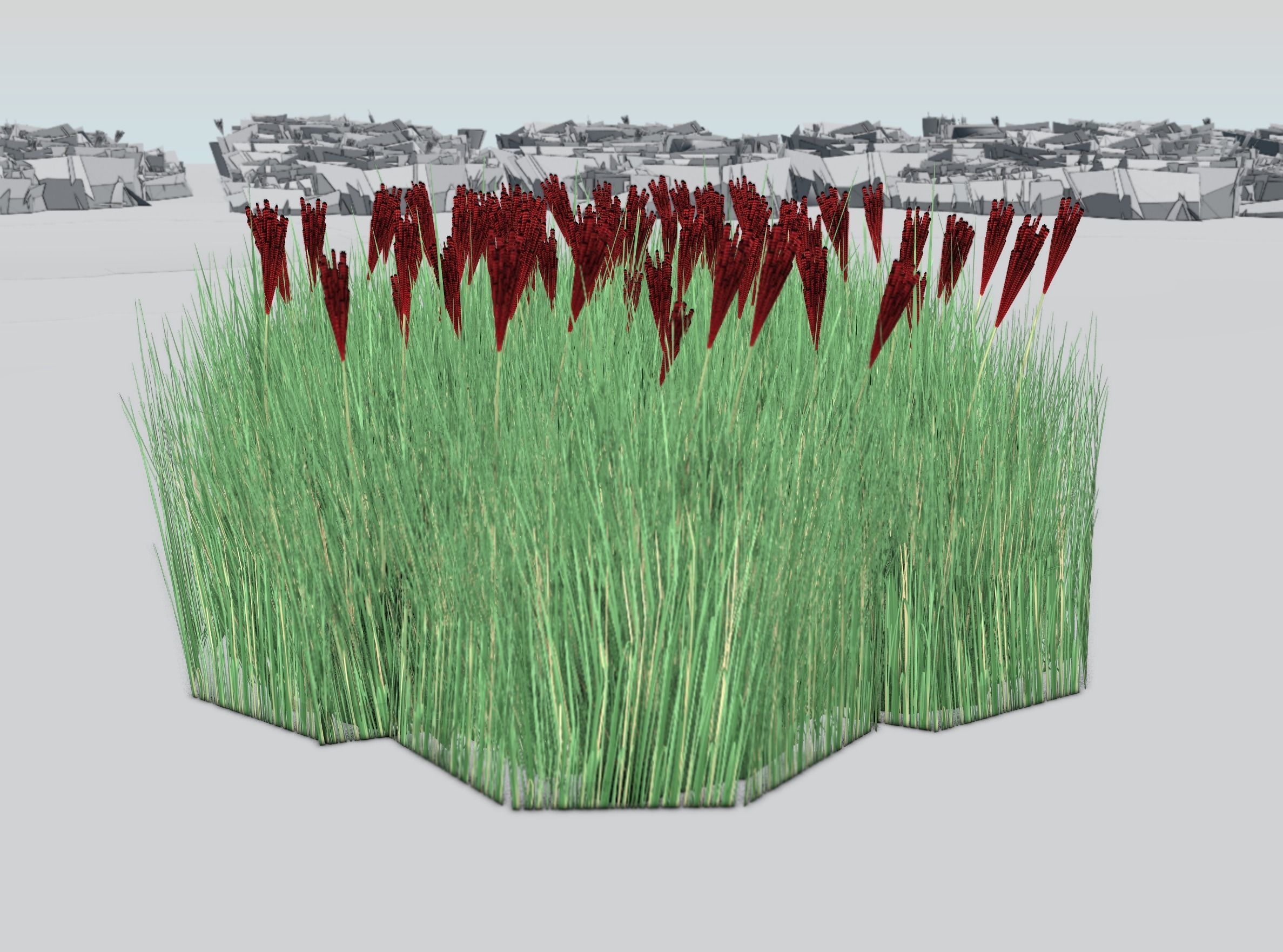 Reeds - Object 58 Low-poly 3D model_39