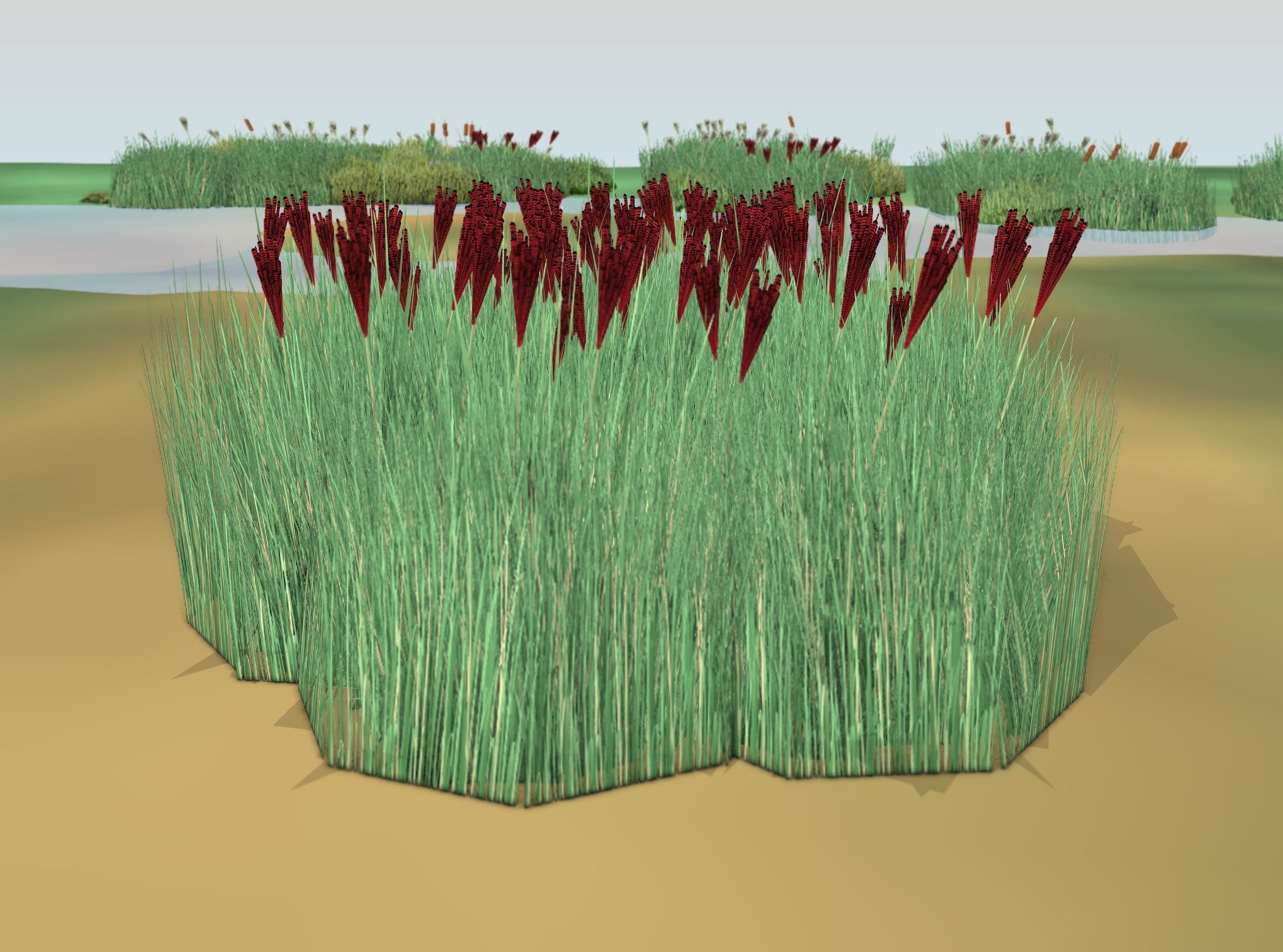 Reeds - Object 58 Low-poly 3D model_42