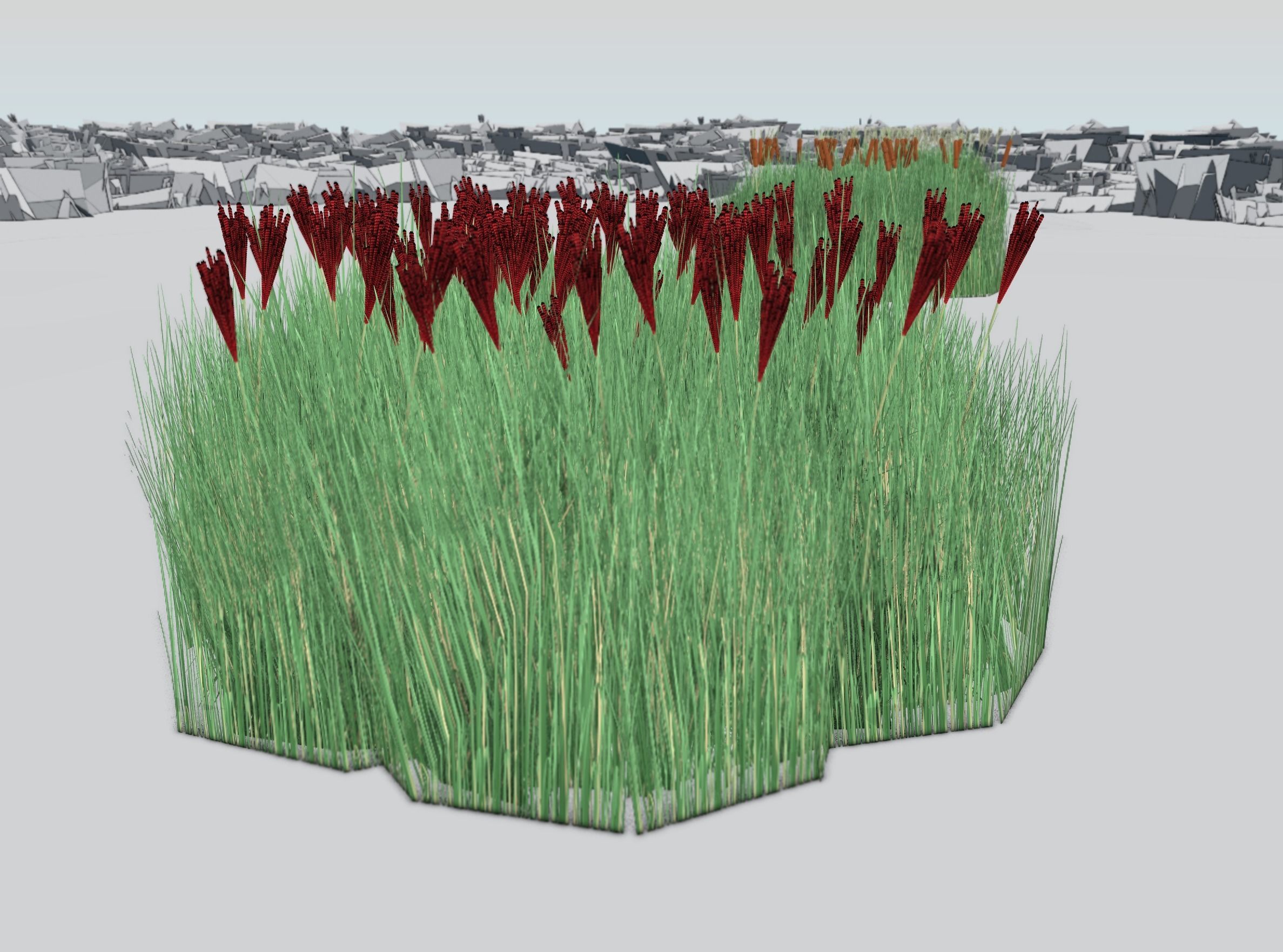 Reeds - Object 58 Low-poly 3D model_31