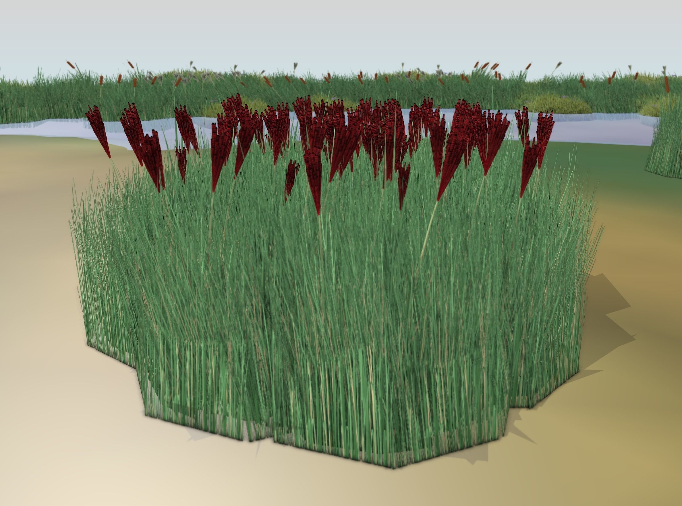 Reeds - Object 58 Low-poly 3D model_11