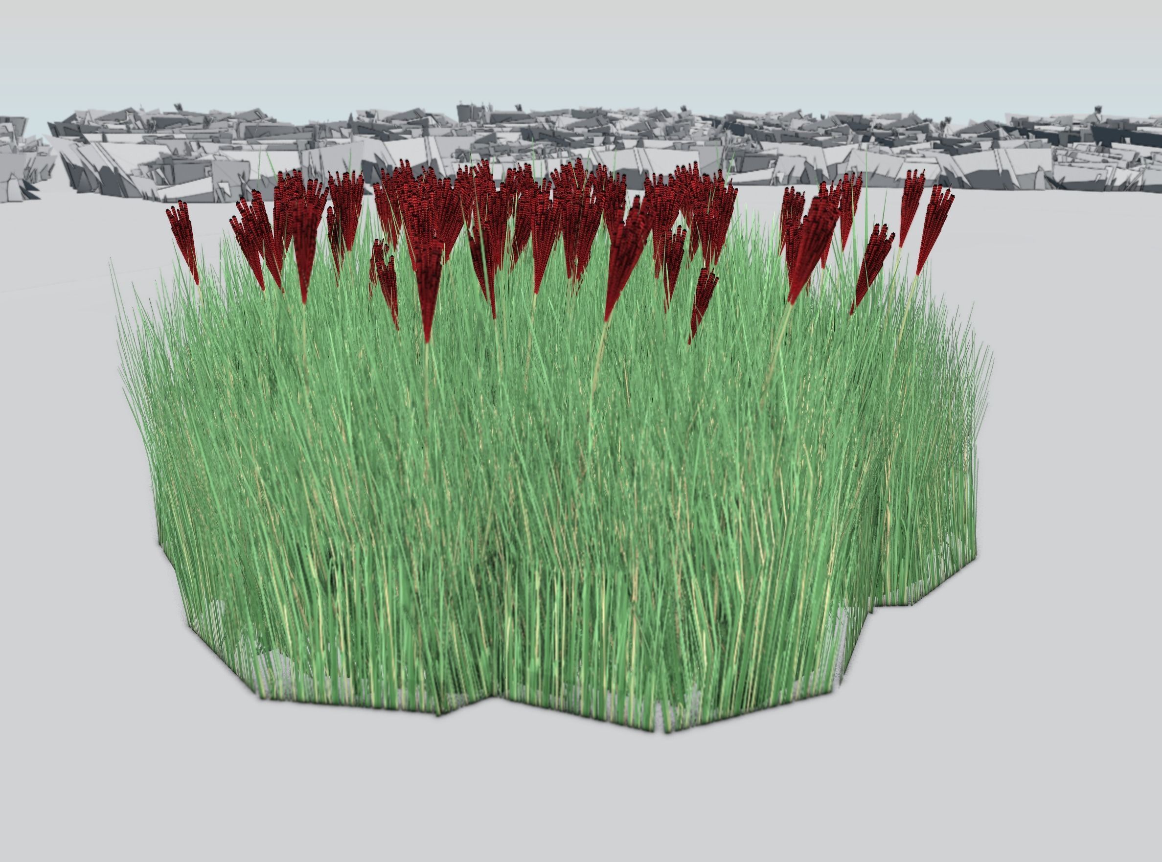 Reeds - Object 58 Low-poly 3D model_36