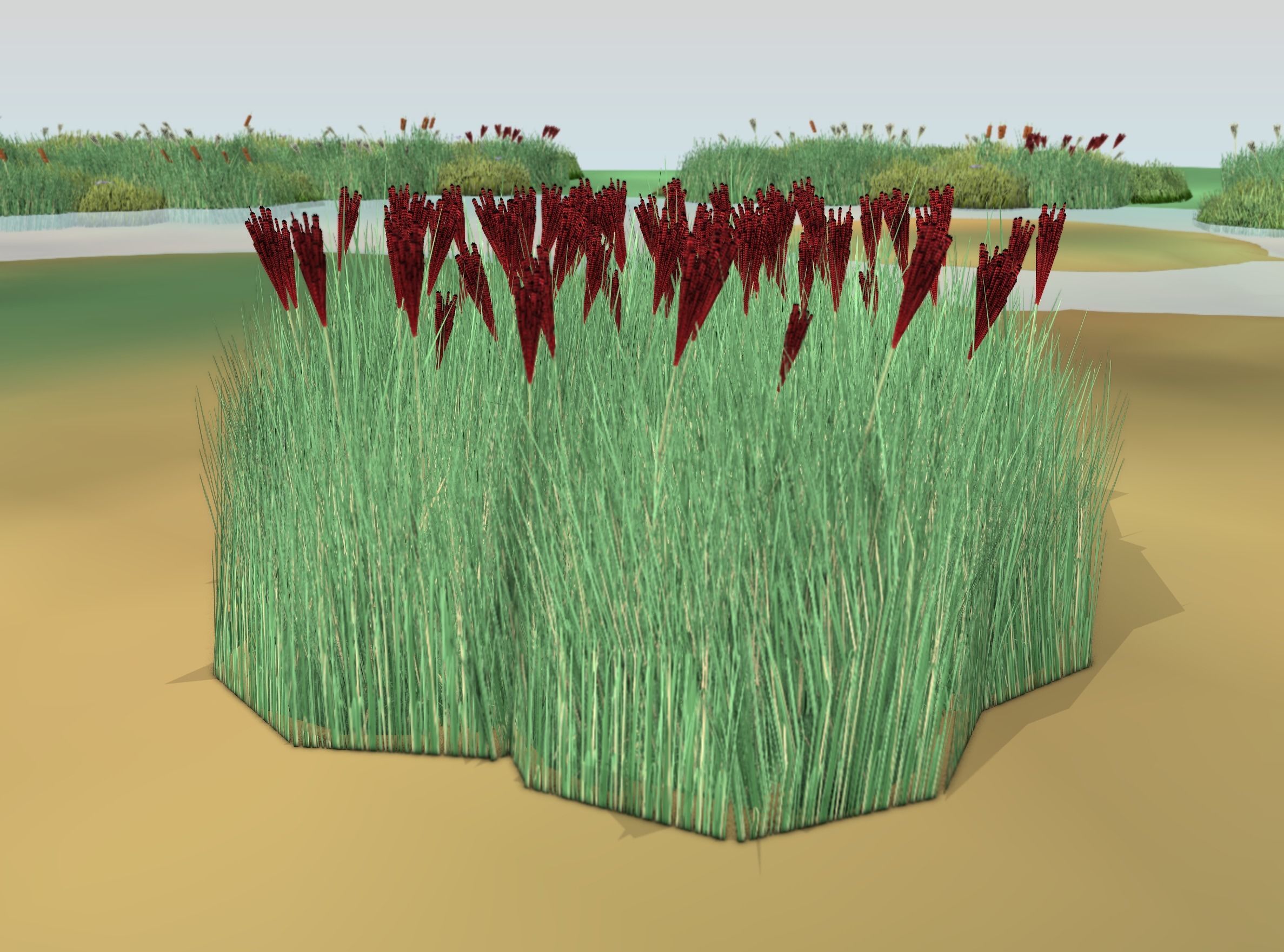 Reeds - Object 58 Low-poly 3D model_46