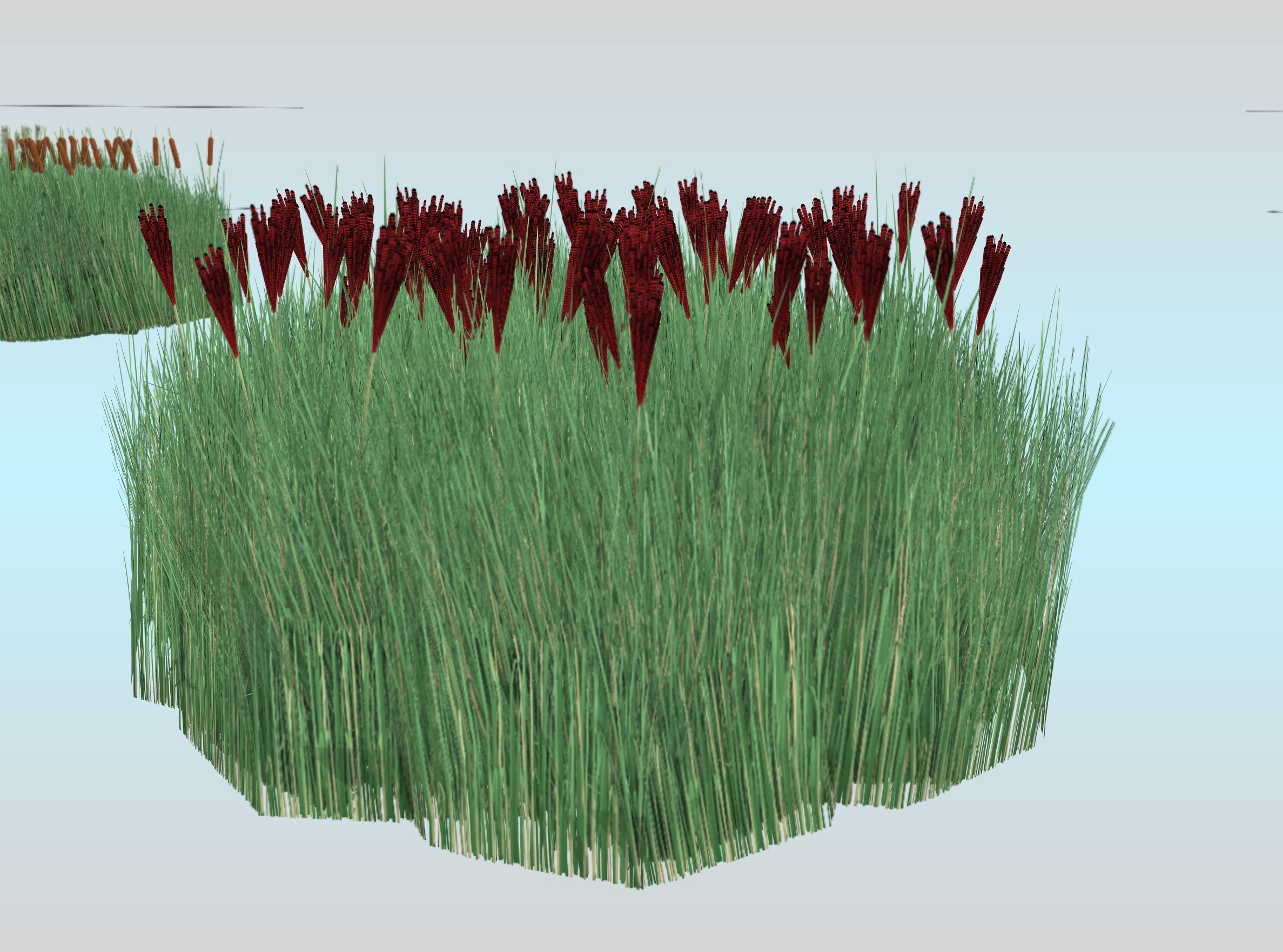 Reeds - Object 58 Low-poly 3D model_24