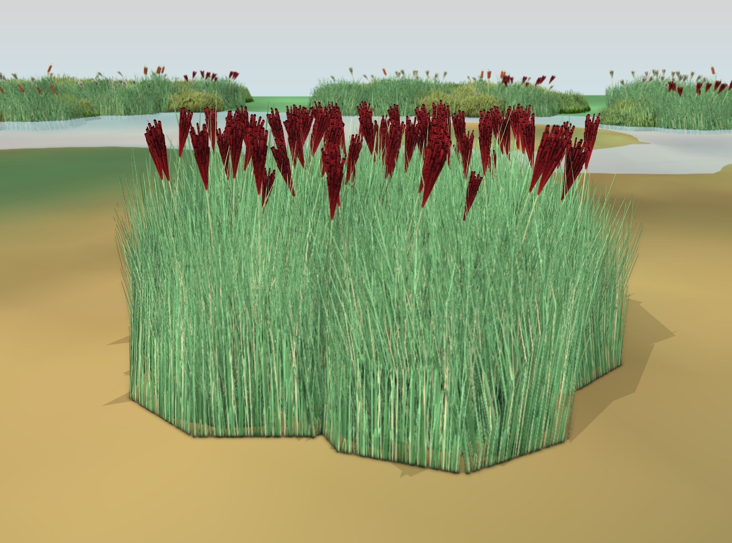 Reeds - Object 58 Low-poly 3D model_45