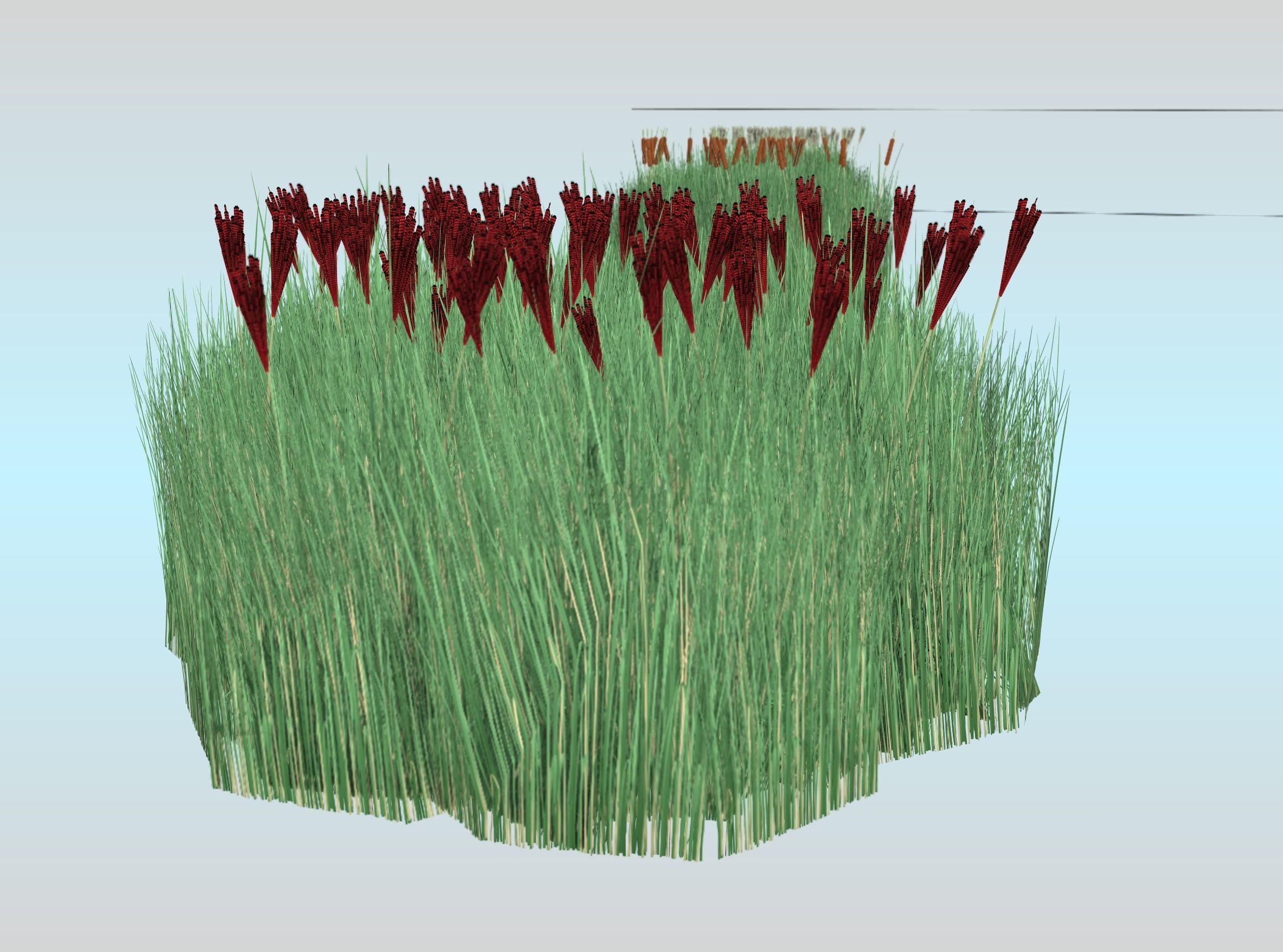 Reeds - Object 58 Low-poly 3D model_30
