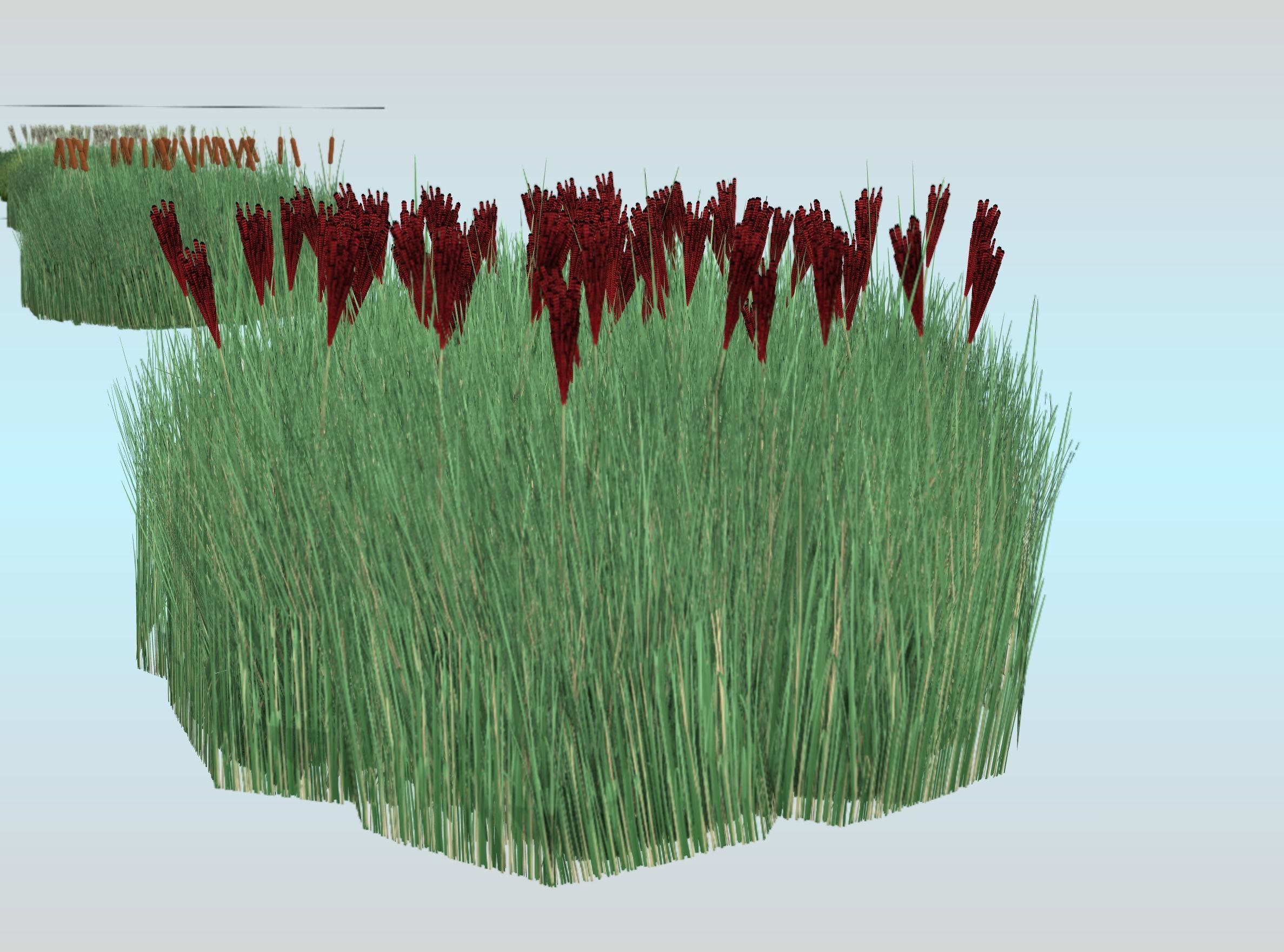 Reeds - Object 58 Low-poly 3D model_25