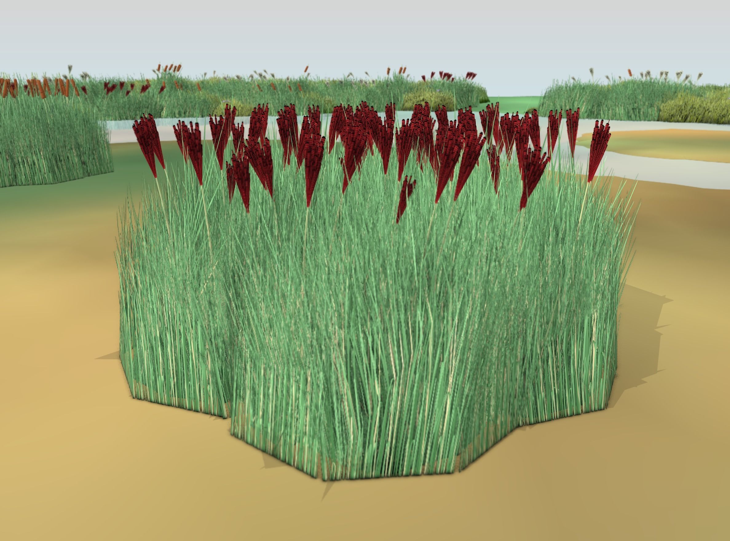 Reeds - Object 58 Low-poly 3D model_48