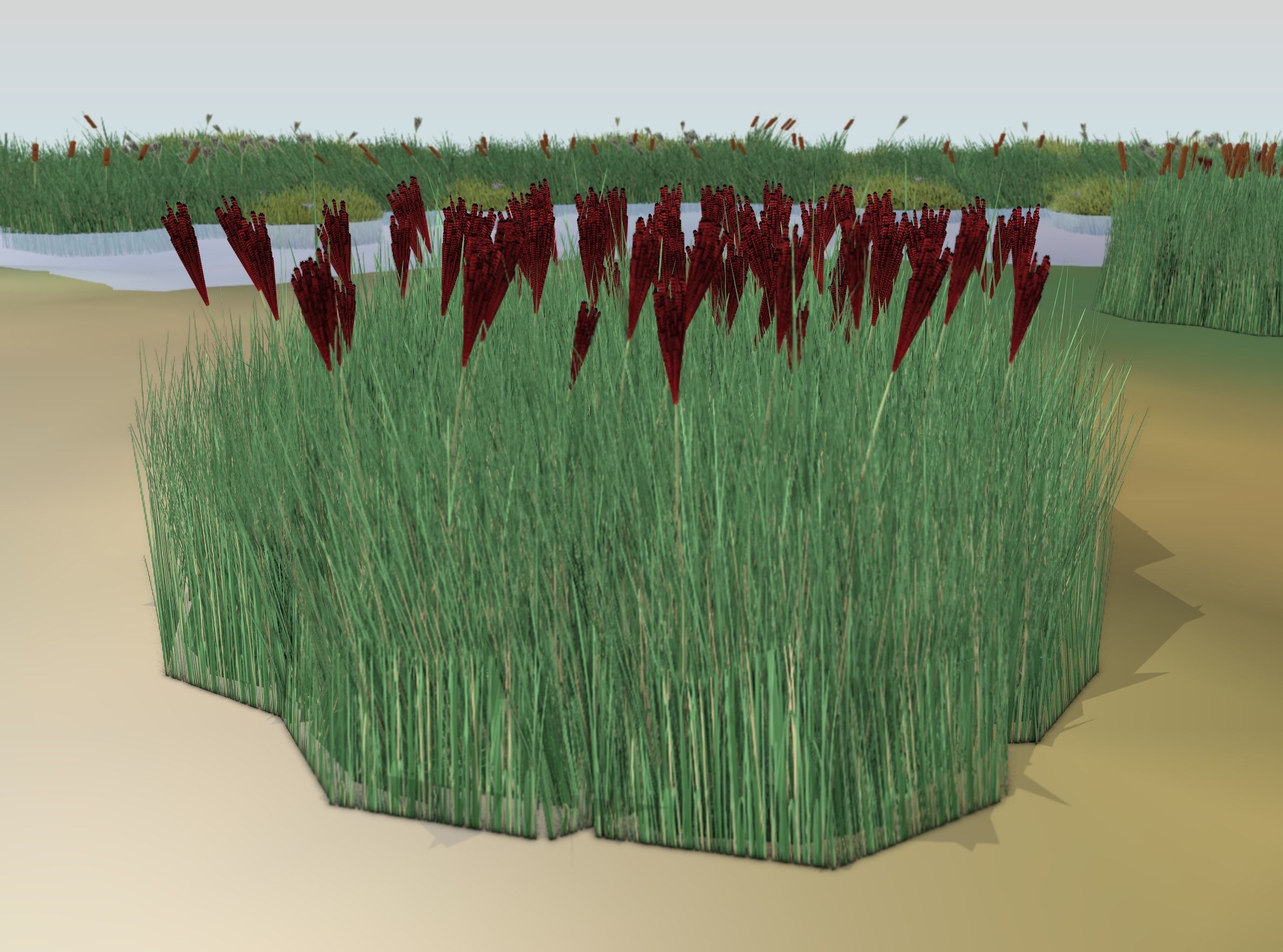 Reeds - Object 58 Low-poly 3D model_10