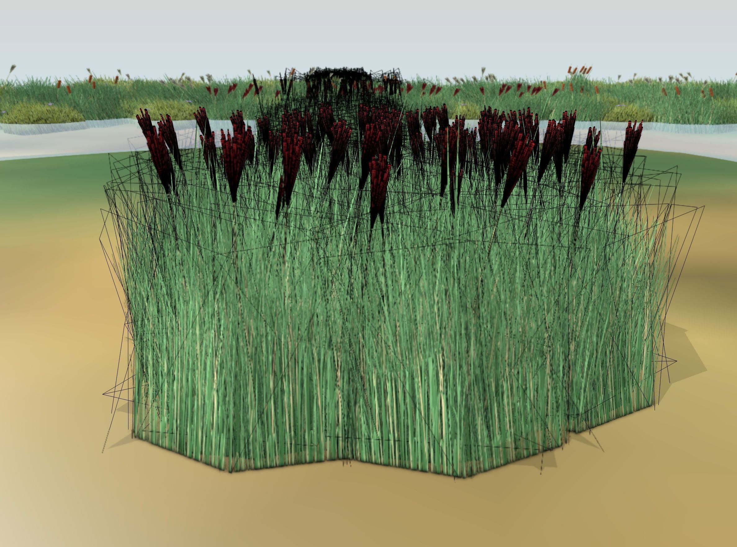 Reeds - Object 58 Low-poly 3D model_5