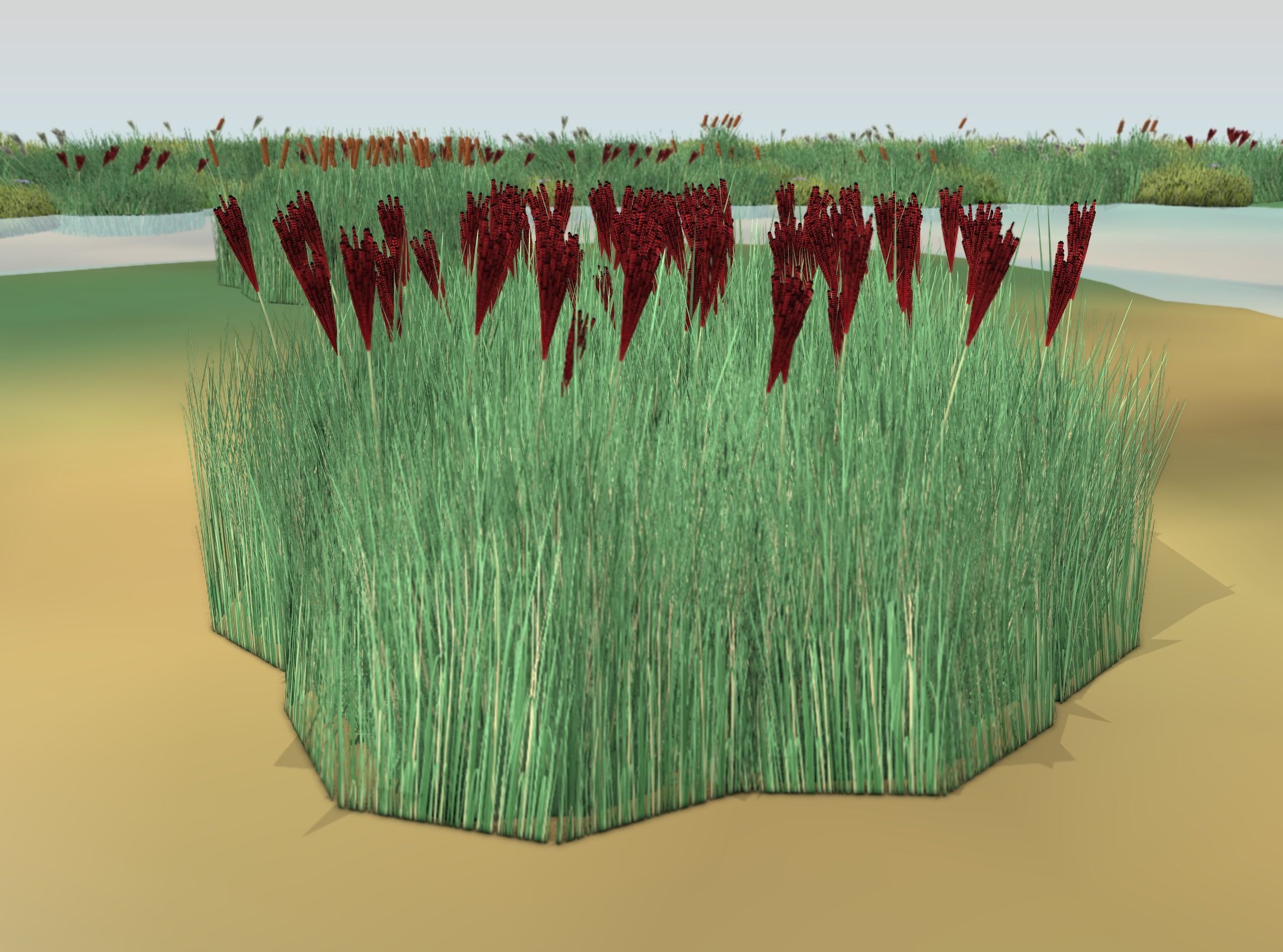 Reeds - Object 58 Low-poly 3D model_3