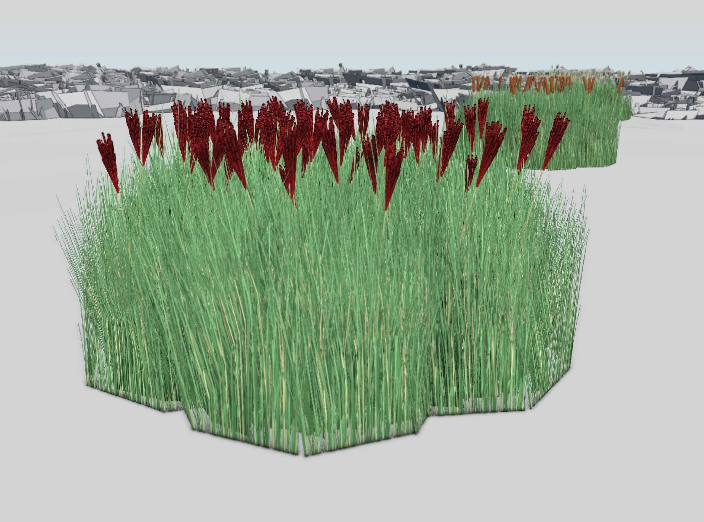 Reeds - Object 58 Low-poly 3D model_32