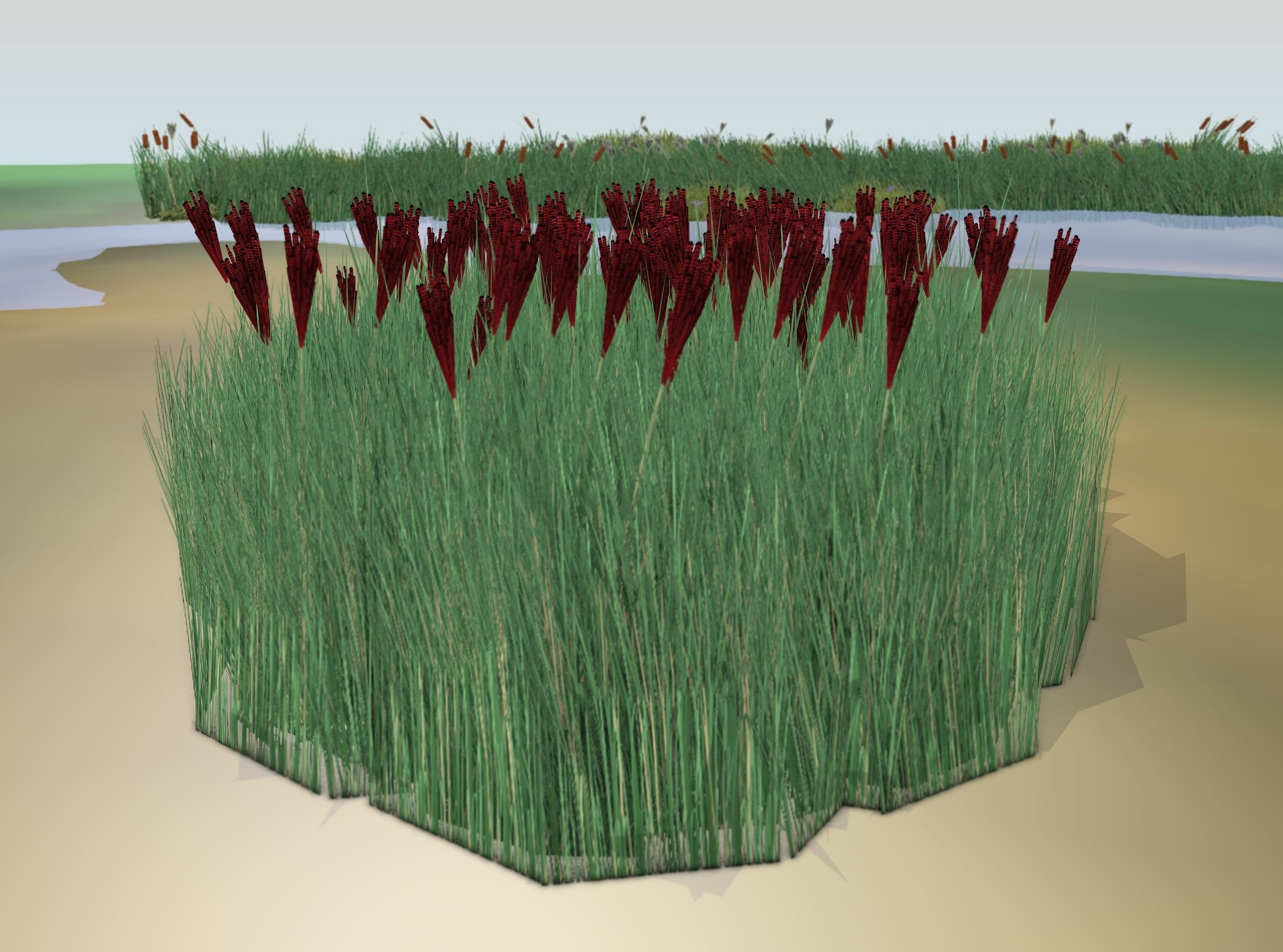 Reeds - Object 58 Low-poly 3D model_13