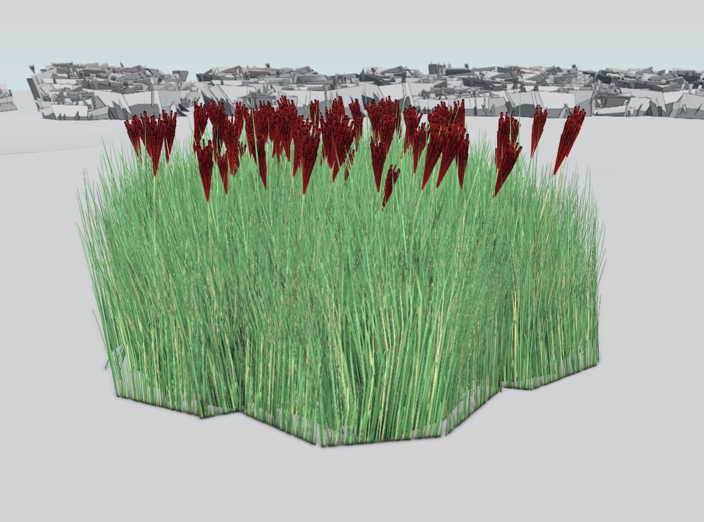 Reeds - Object 58 Low-poly 3D model_38