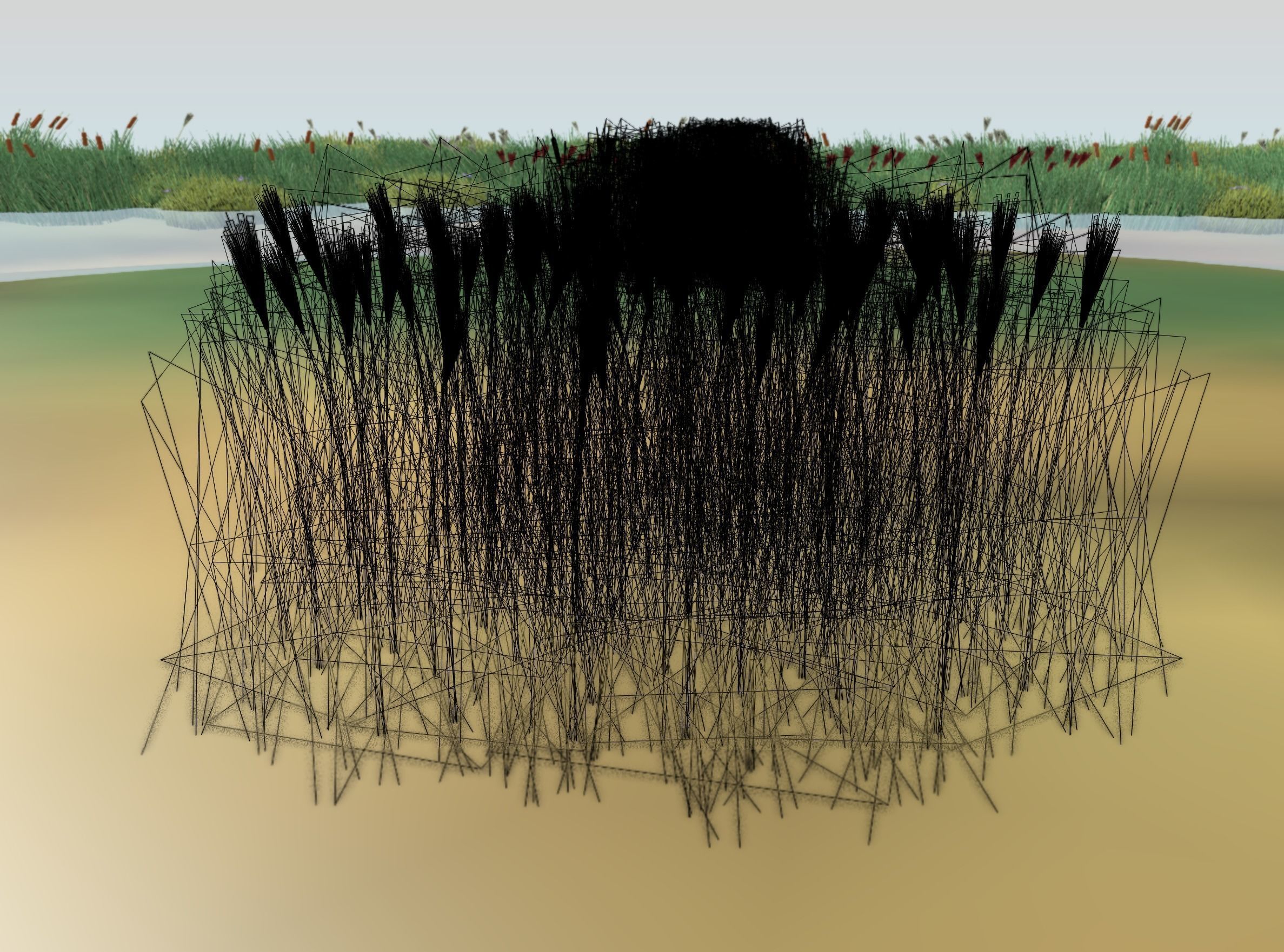 Reeds - Object 58 Low-poly 3D model_6