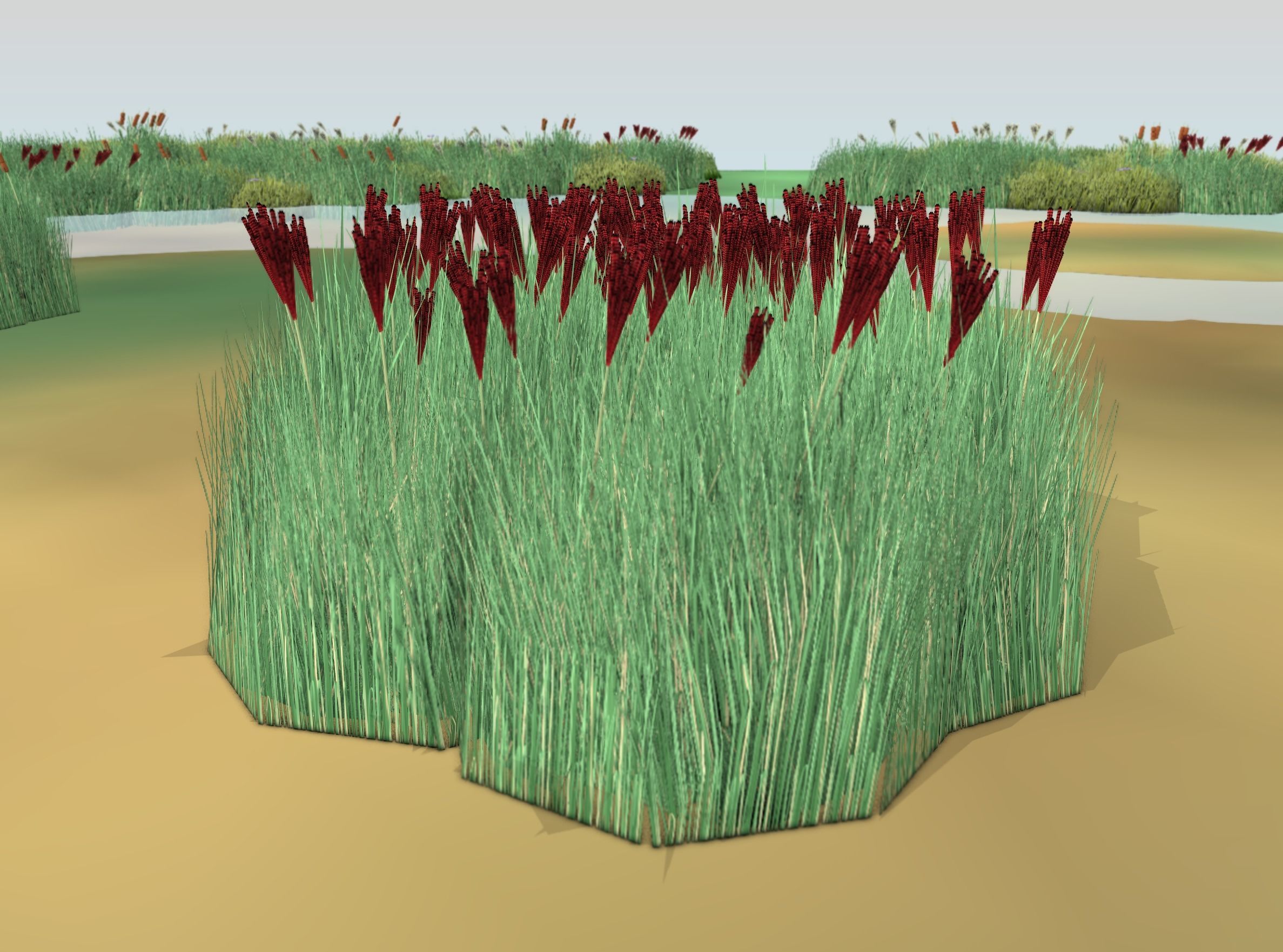 Reeds - Object 58 Low-poly 3D model_47