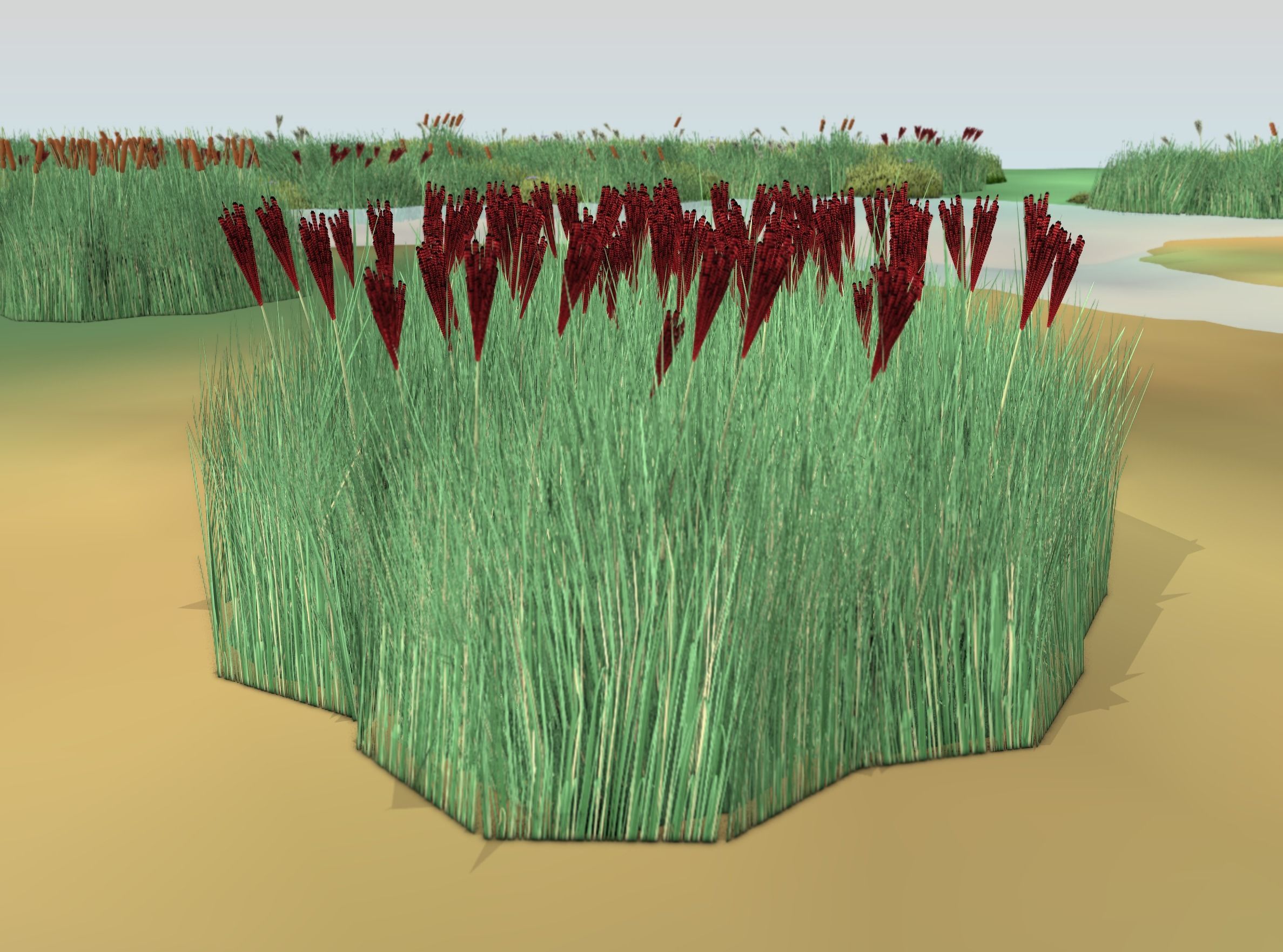 Reeds - Object 58 Low-poly 3D model_49