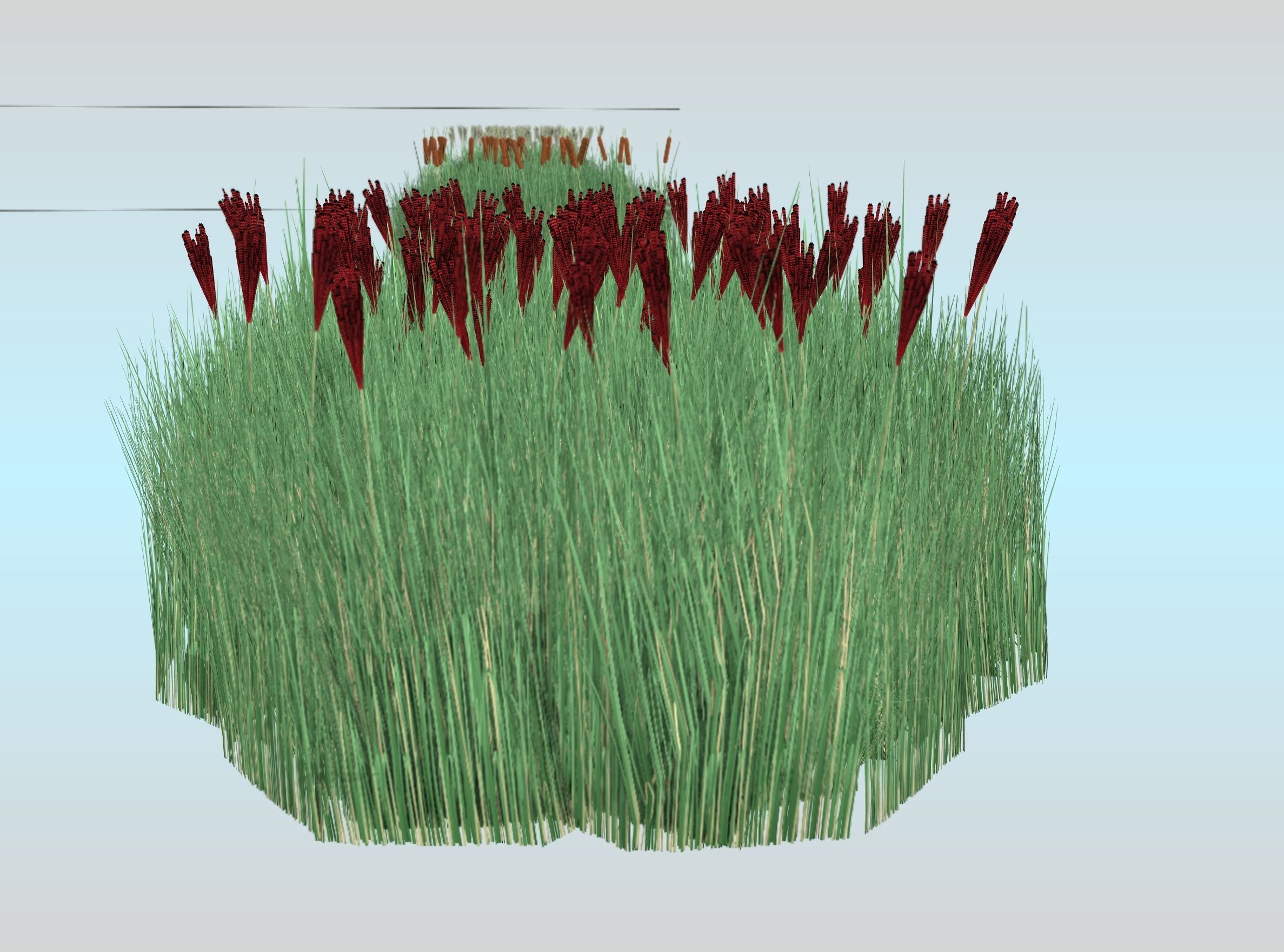 Reeds - Object 58 Low-poly 3D model_28
