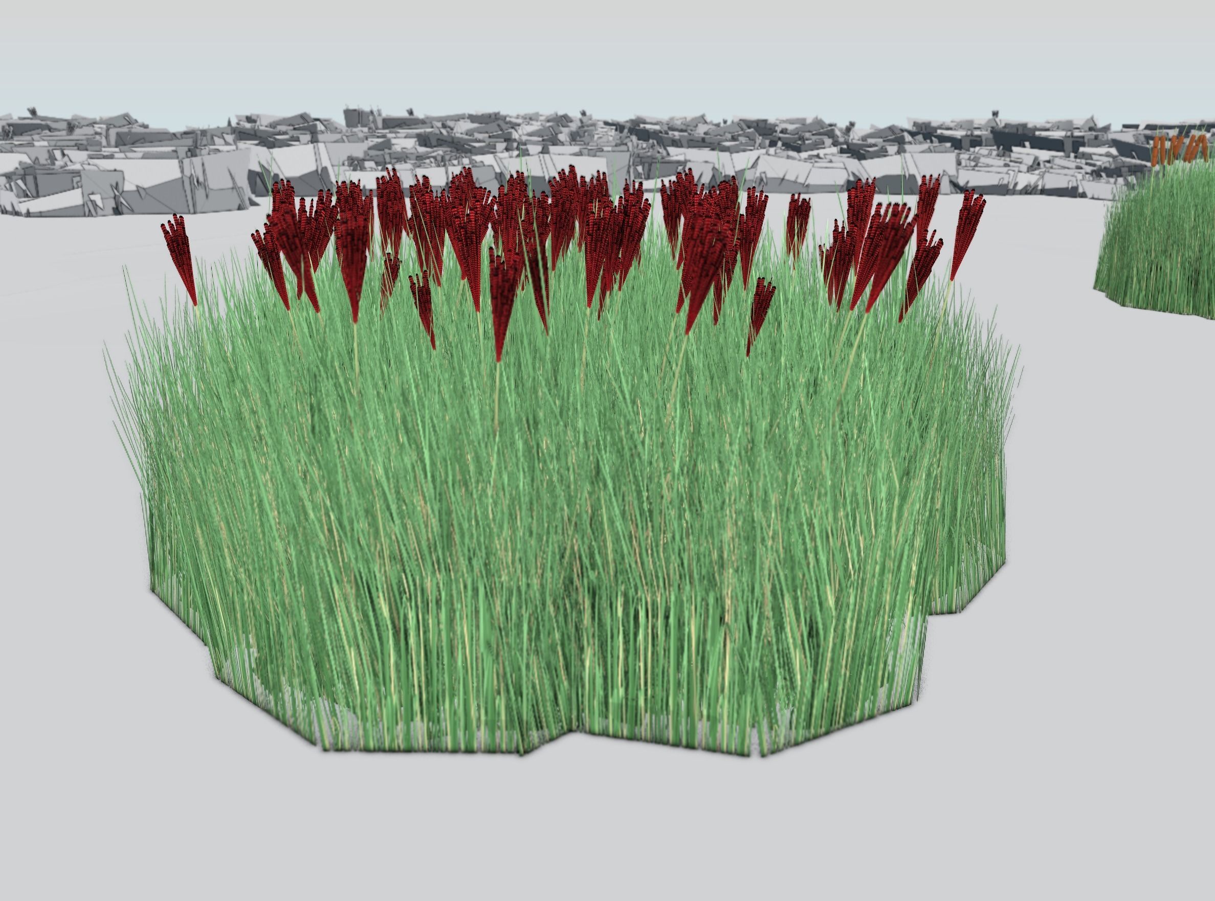 Reeds - Object 58 Low-poly 3D model_35