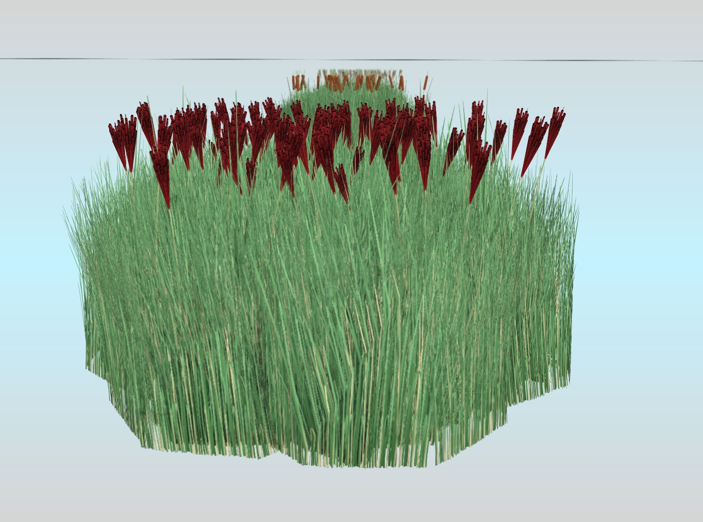 Reeds - Object 58 Low-poly 3D model_29