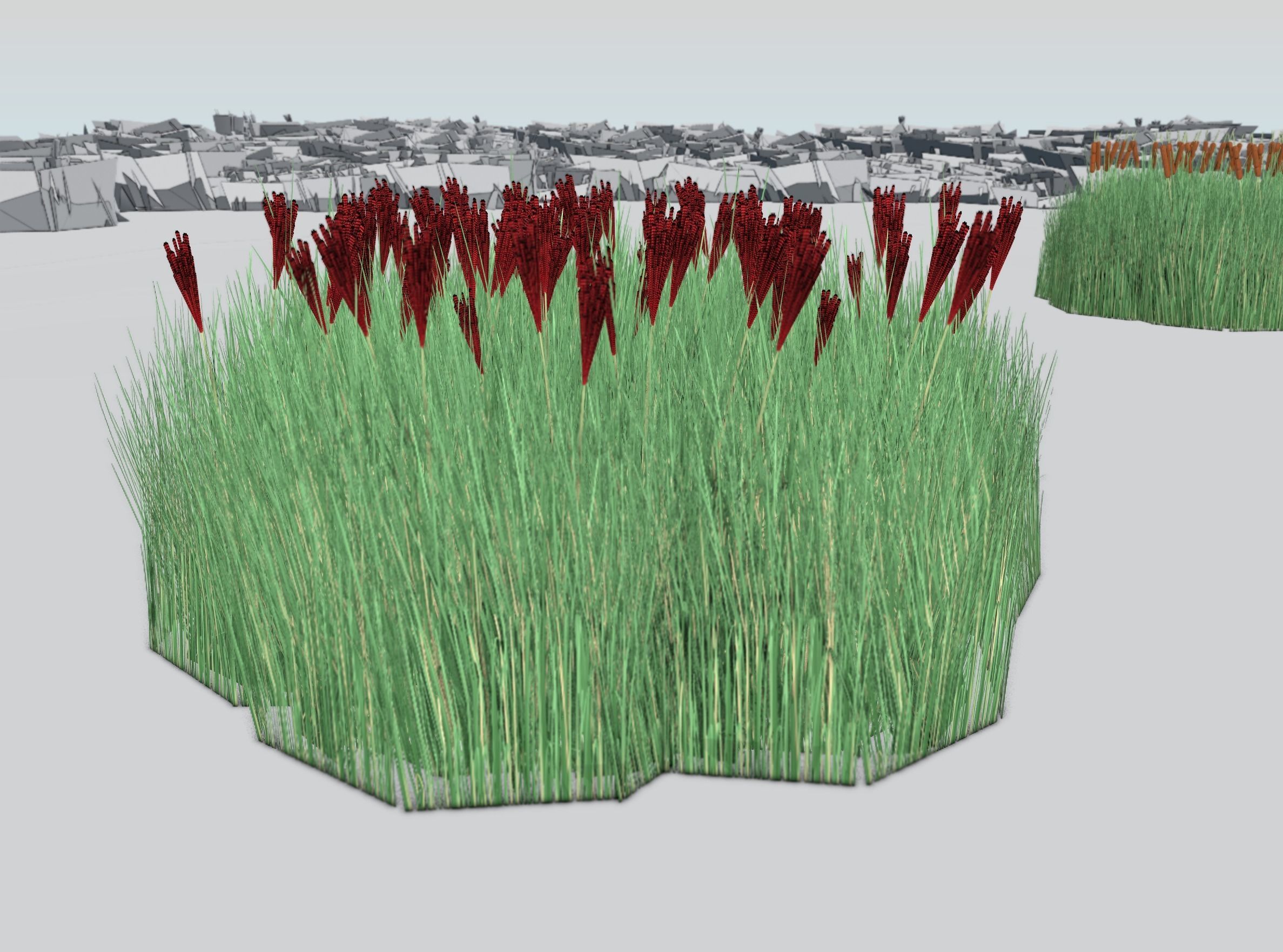 Reeds - Object 58 Low-poly 3D model_34