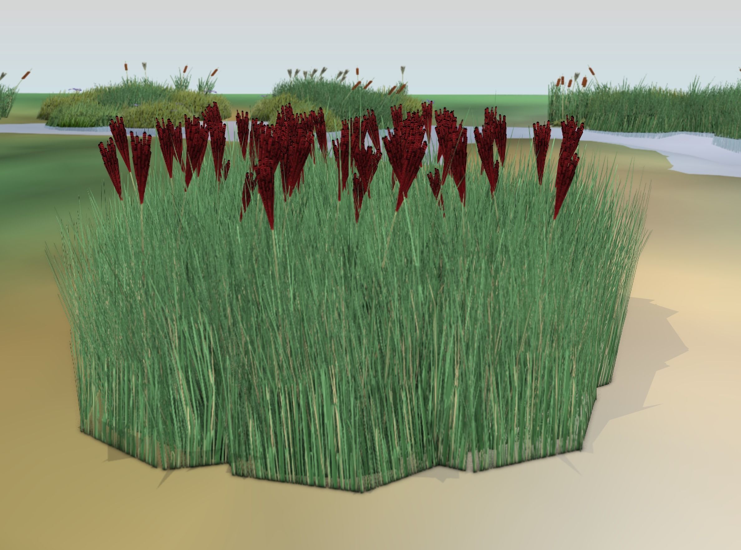 Reeds - Object 58 Low-poly 3D model_19