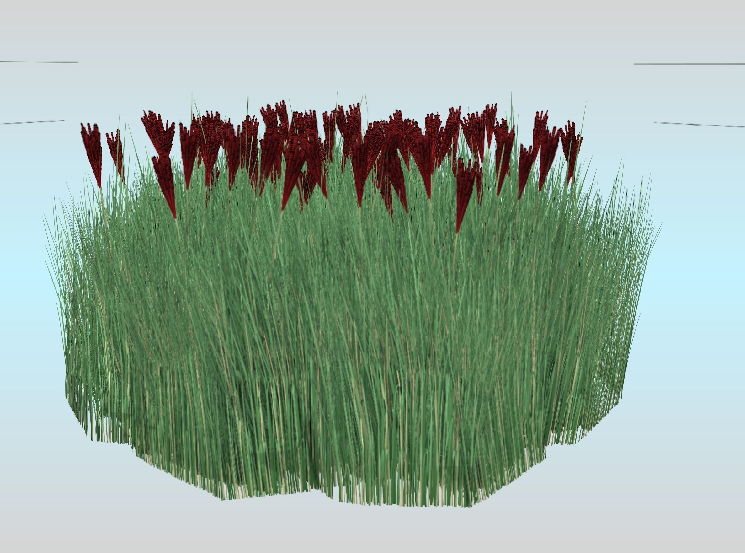Reeds - Object 58 Low-poly 3D model_22