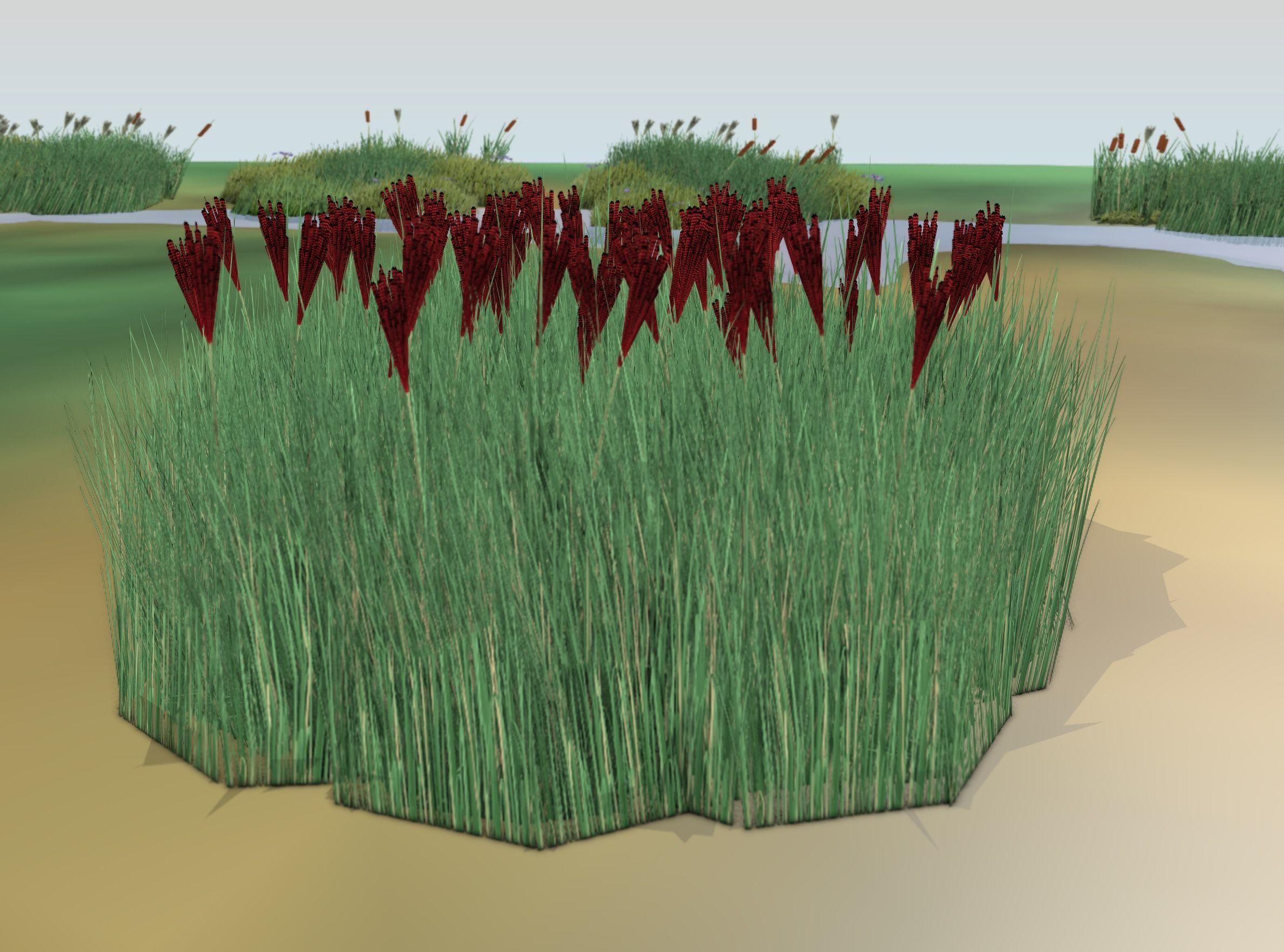 Reeds - Object 58 Low-poly 3D model_20
