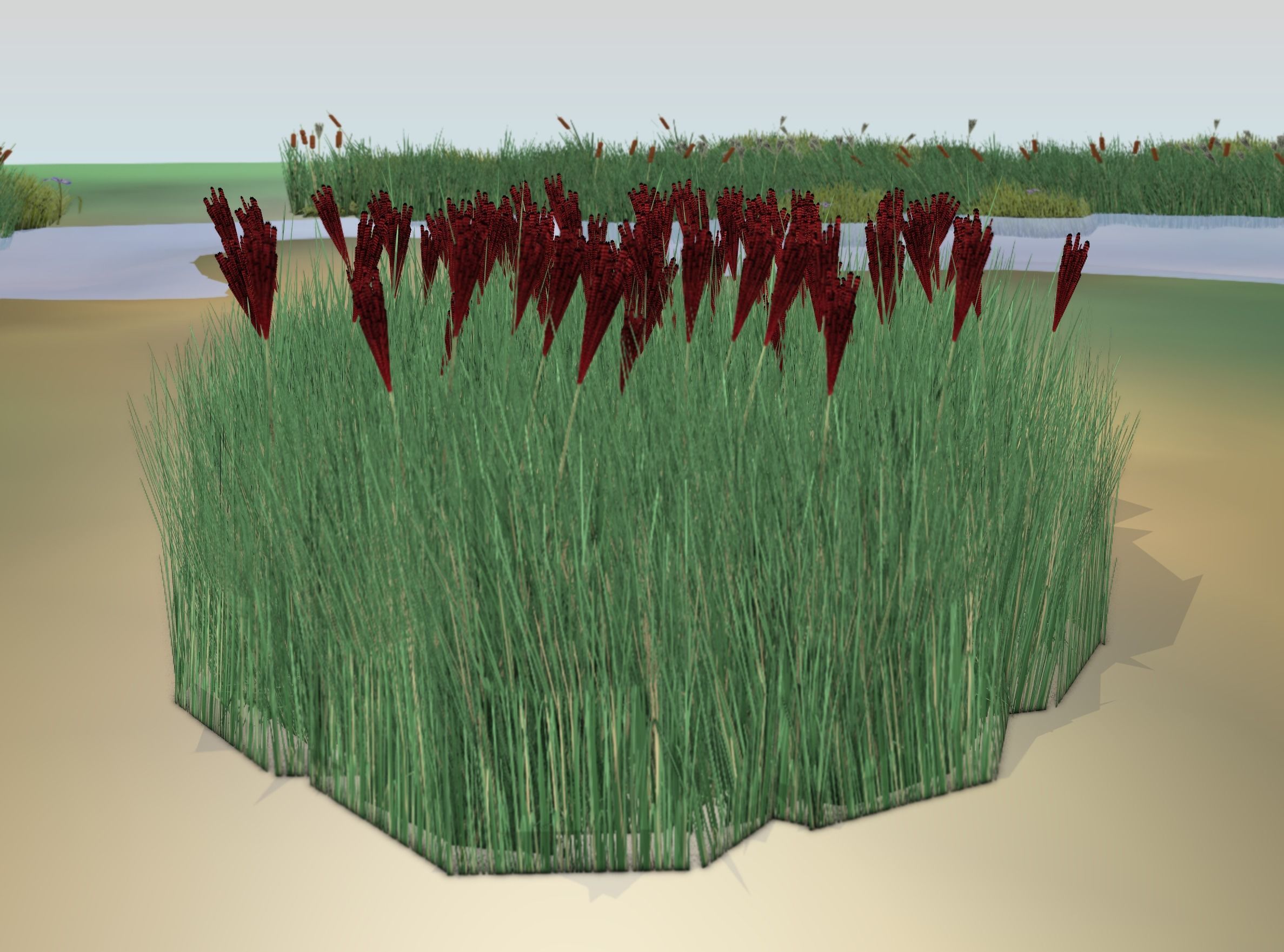 Reeds - Object 58 Low-poly 3D model_14