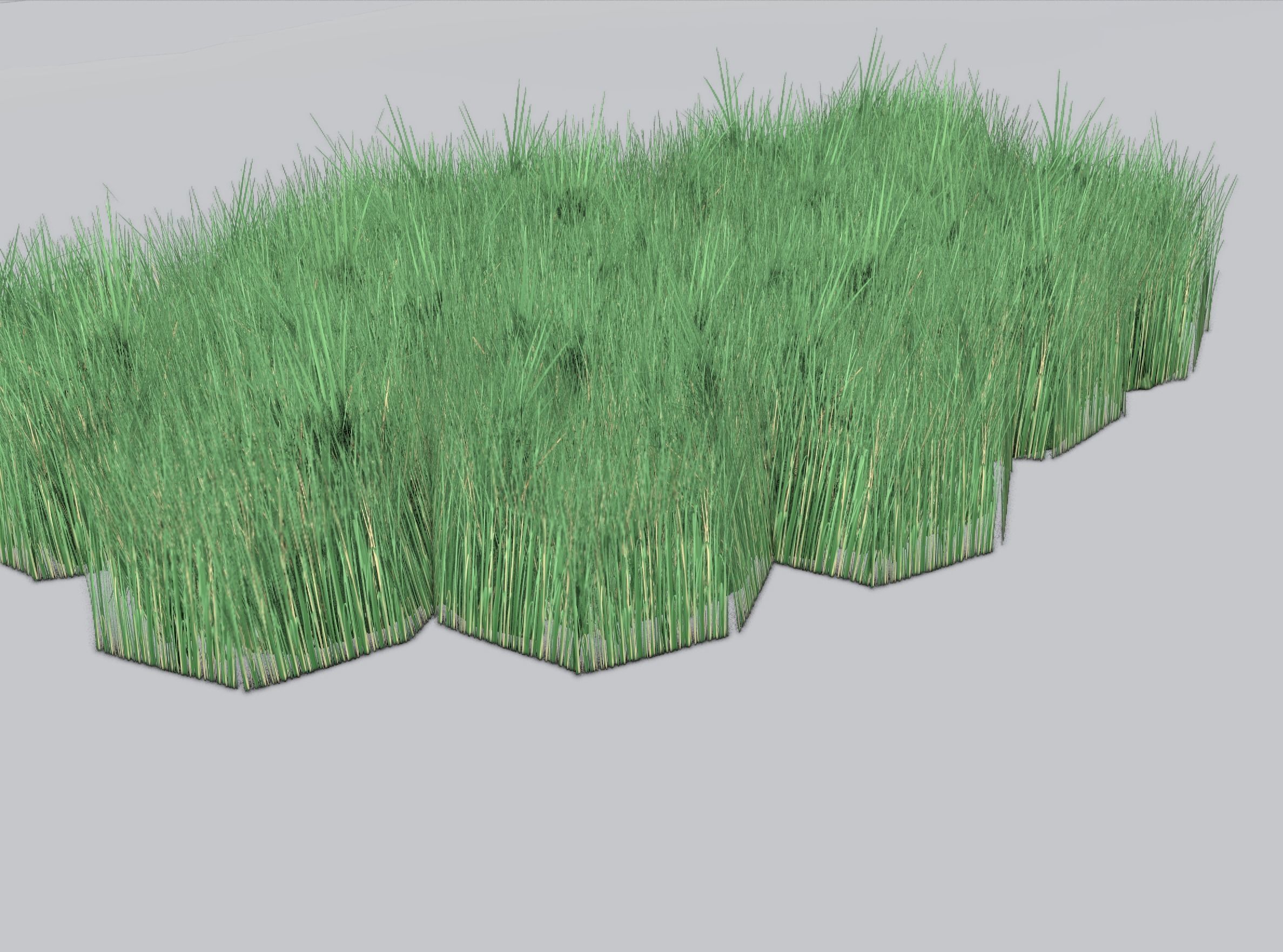 Reeds - Object 62 Low-poly 3D model_34
