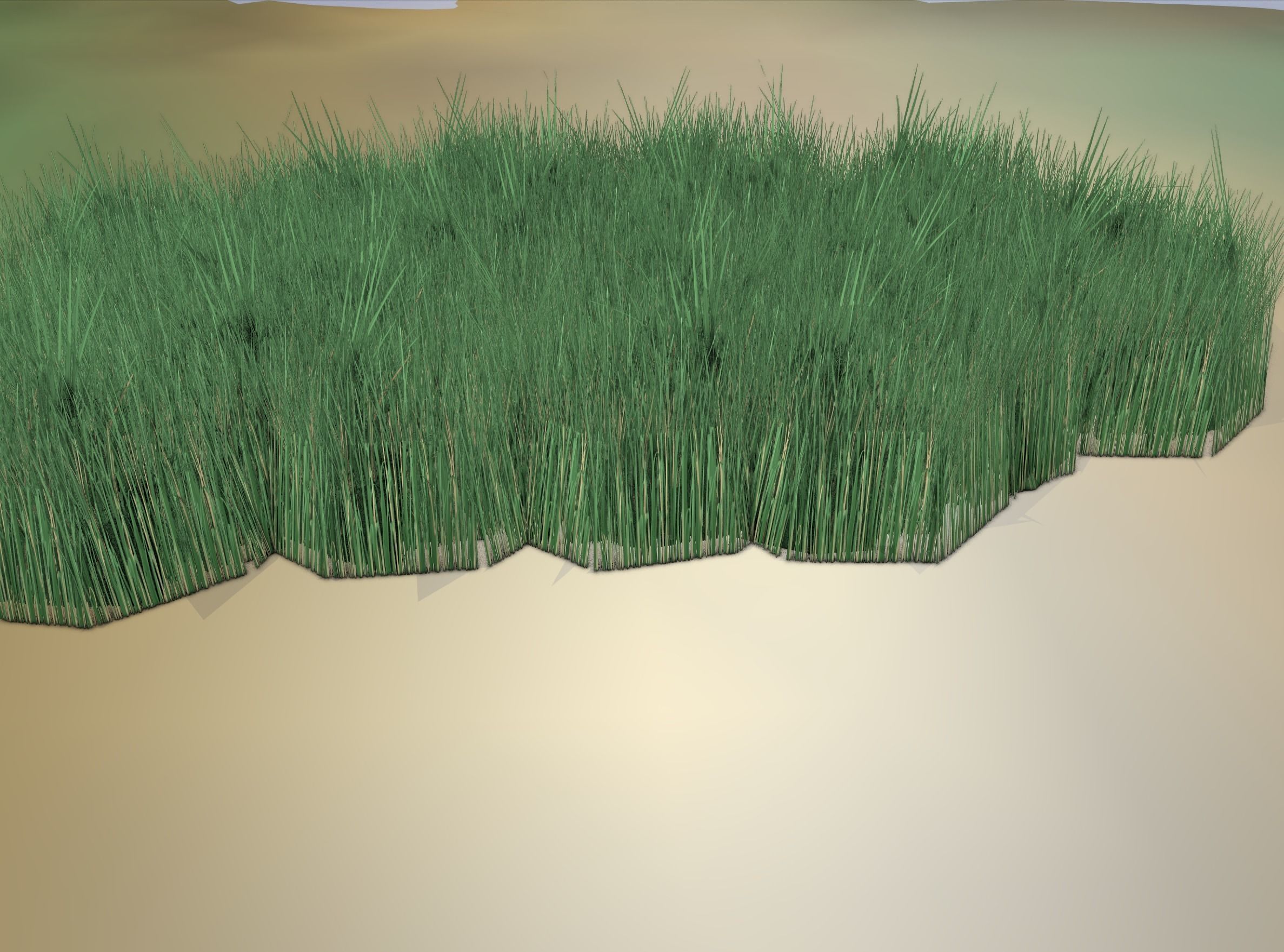 Reeds - Object 62 Low-poly 3D model_12