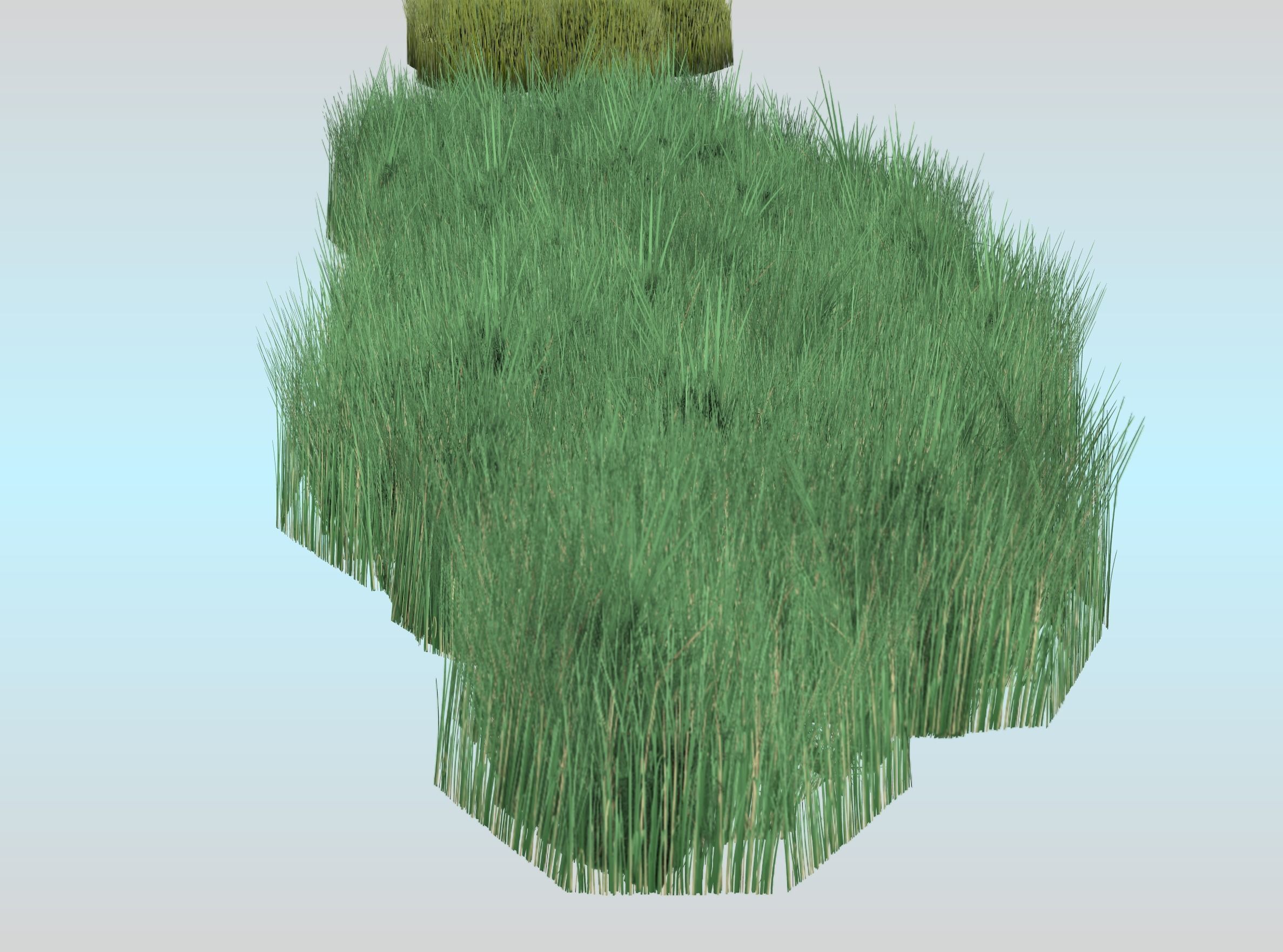 Reeds - Object 62 Low-poly 3D model_24