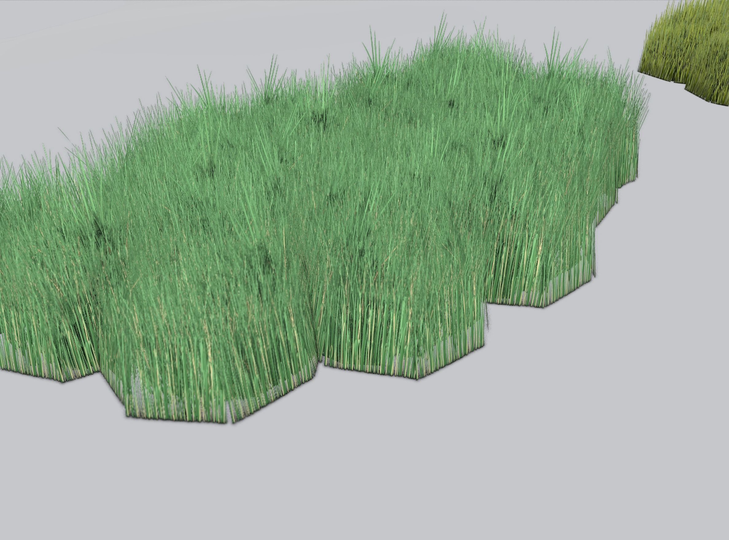 Reeds - Object 62 Low-poly 3D model_32