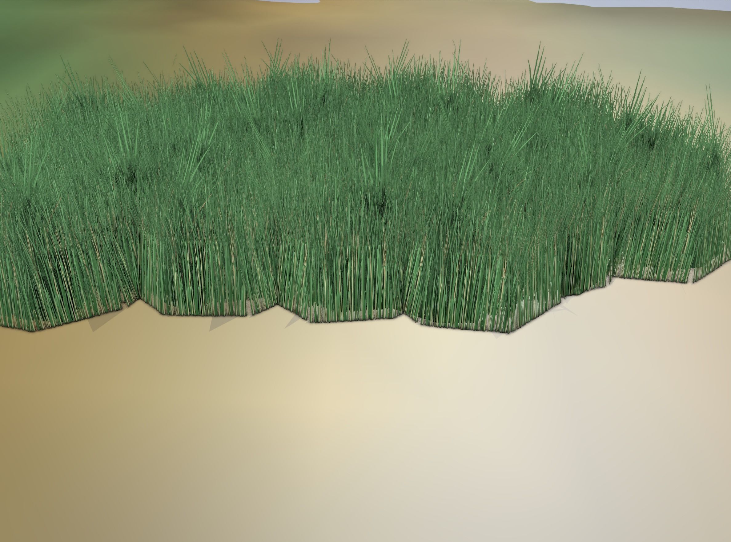 Reeds - Object 62 Low-poly 3D model_13