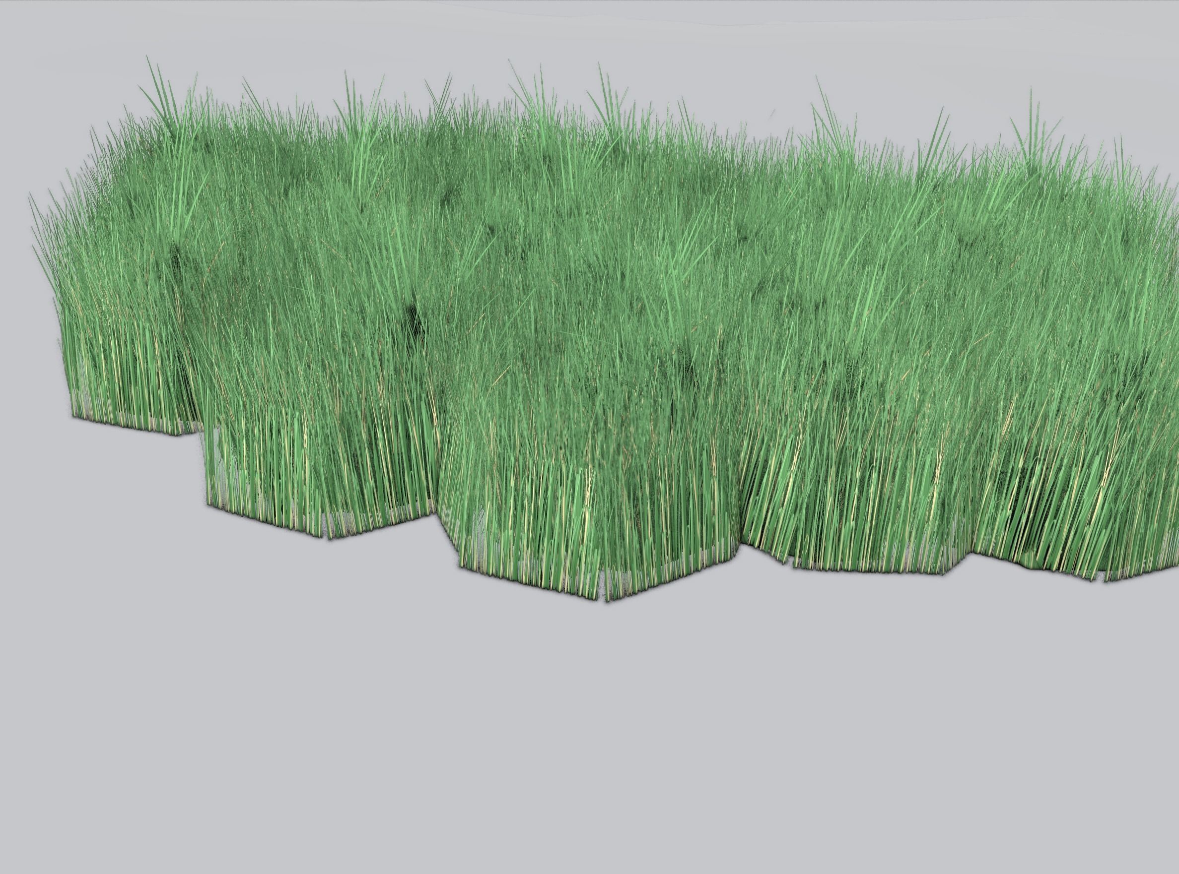 Reeds - Object 62 Low-poly 3D model_40