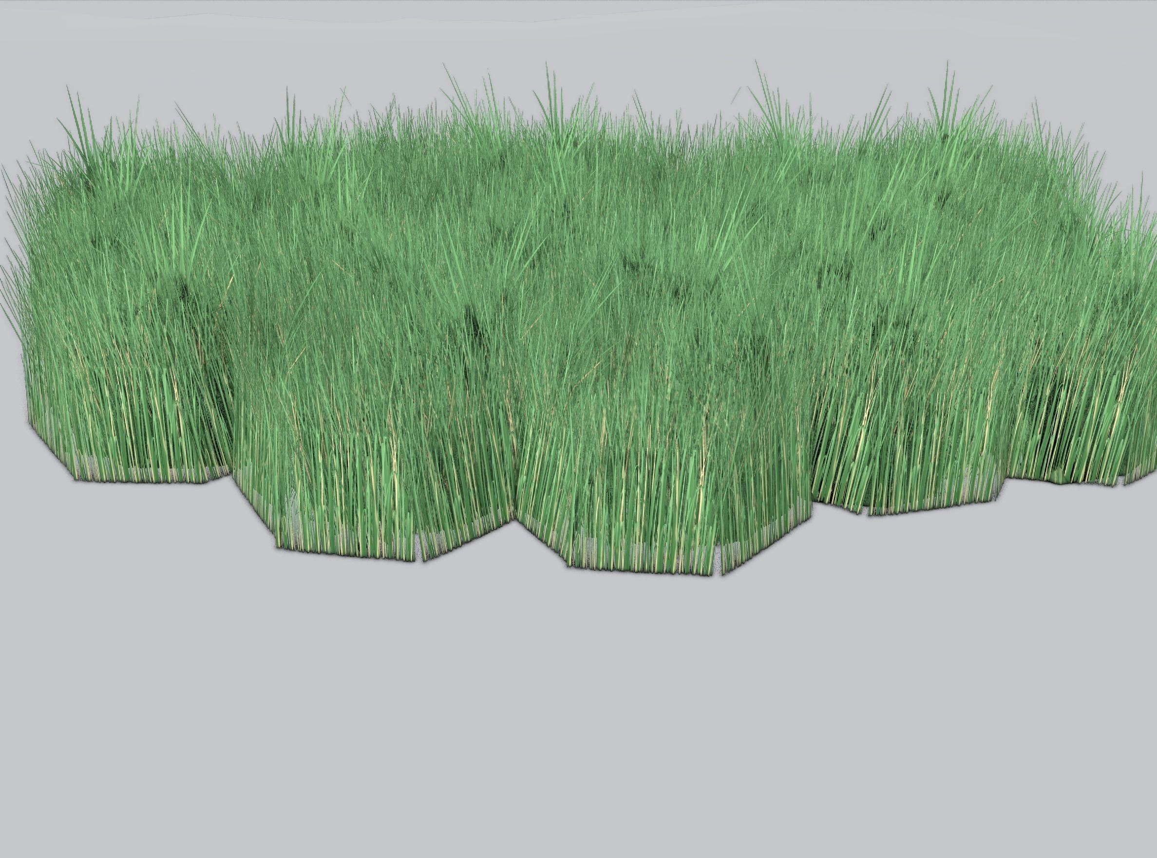 Reeds - Object 62 Low-poly 3D model_38